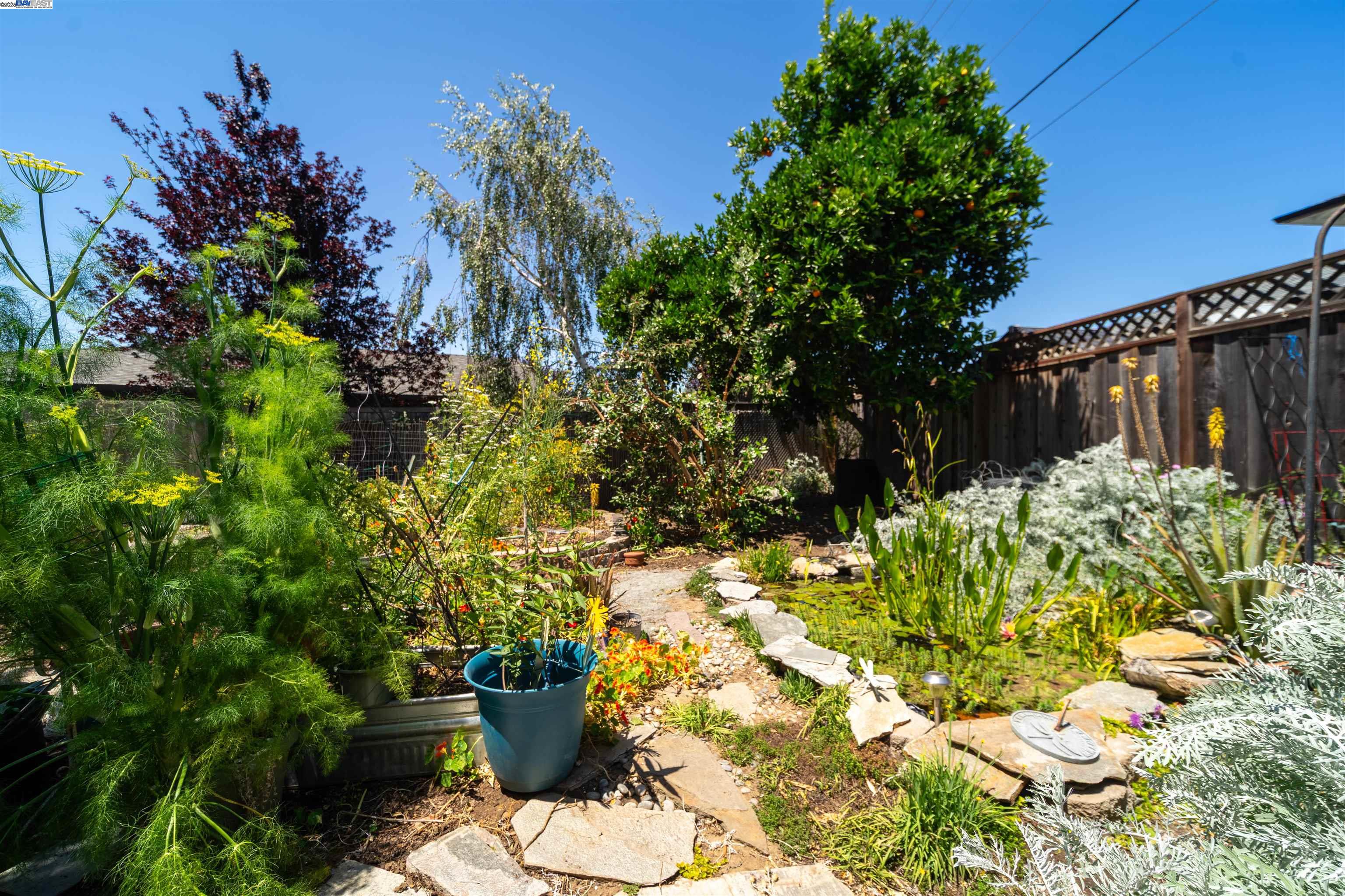 4677 Piper St, Fremont, California 94538, 4 Bedrooms Bedrooms, 7 Rooms Rooms,3 BathroomsBathrooms,Residential,For Sale,4677 Piper St,41099149