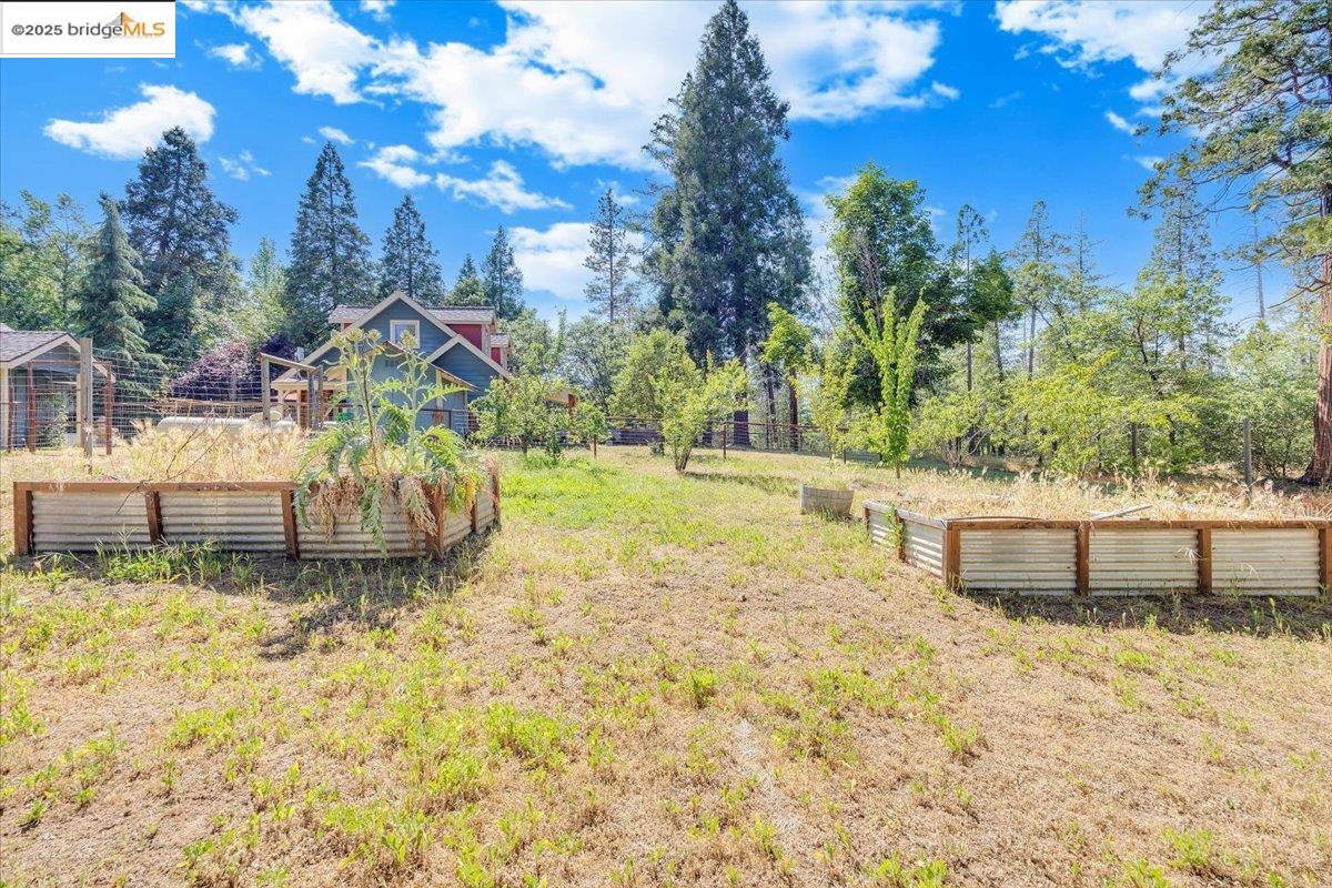 Detail Gallery Image 56 of 58 For 6388 Stewart Lane, Coulterville,  CA 95311 - 2 Beds | 1 Baths