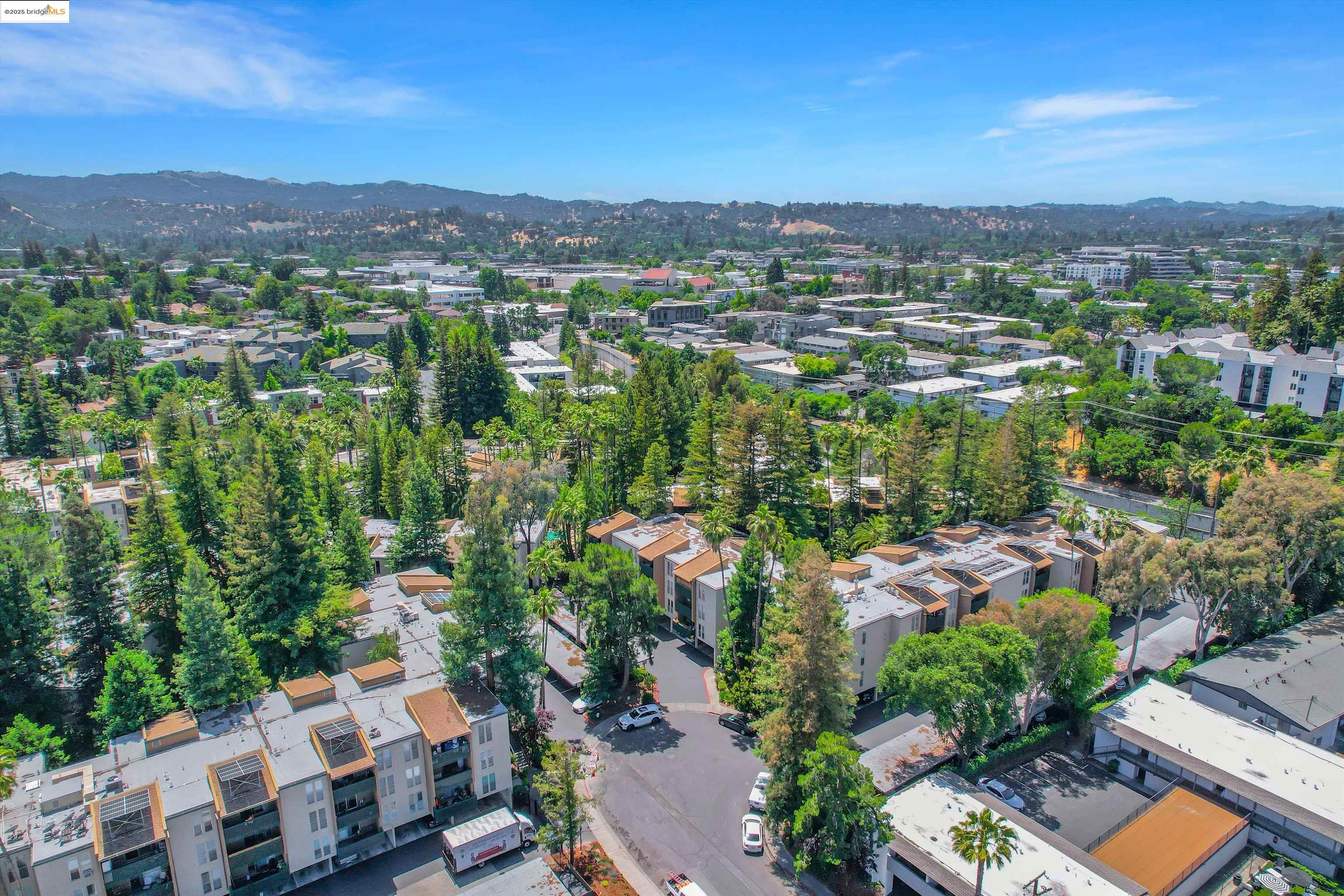 Photo #34: 41099251 Listing: Photo #34
