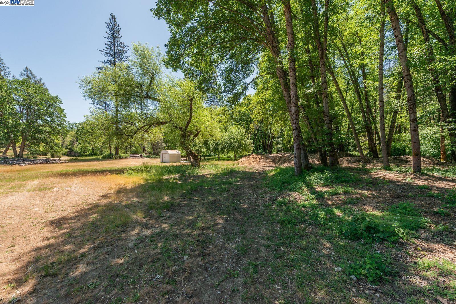 Detail Gallery Image 10 of 49 For 31 Rocky Road, Weaverville,  CA 96093 - 3 Beds | 2 Baths