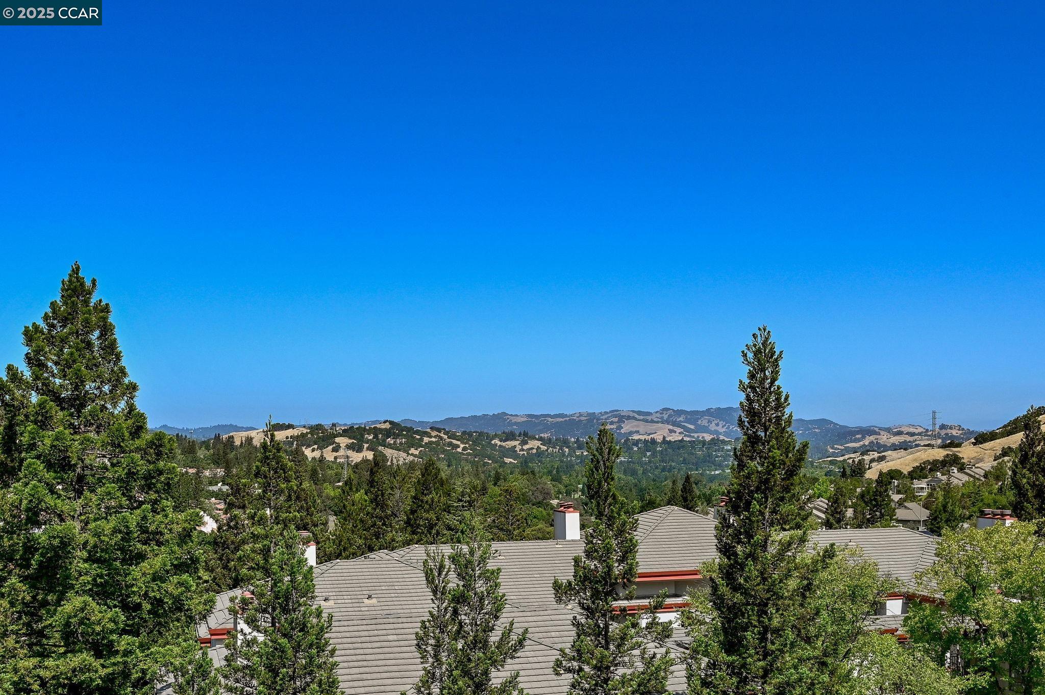 Photo #8: 41099269 Listing: Photo #8