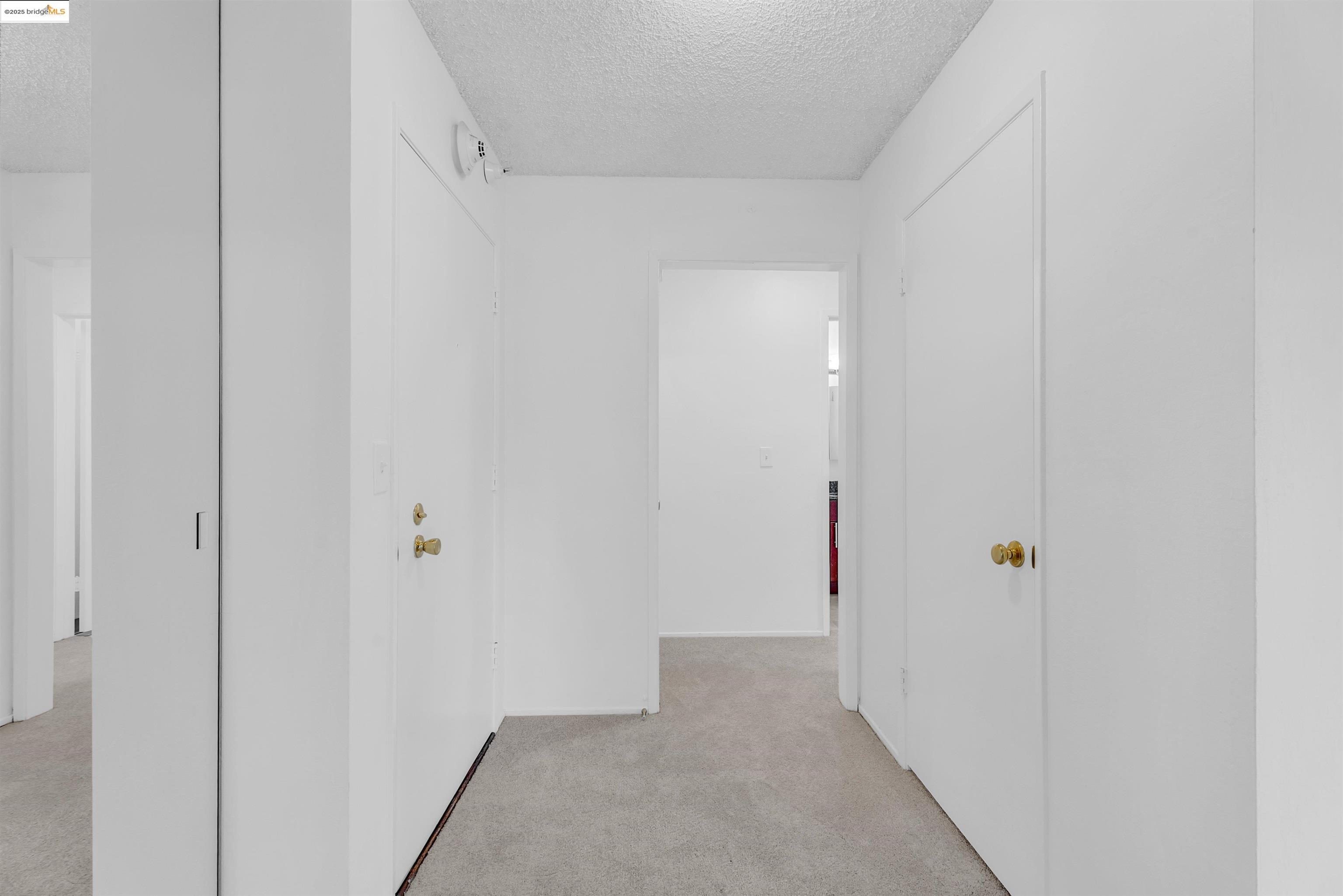 Photo #11: 41099276 Listing: Photo #11
