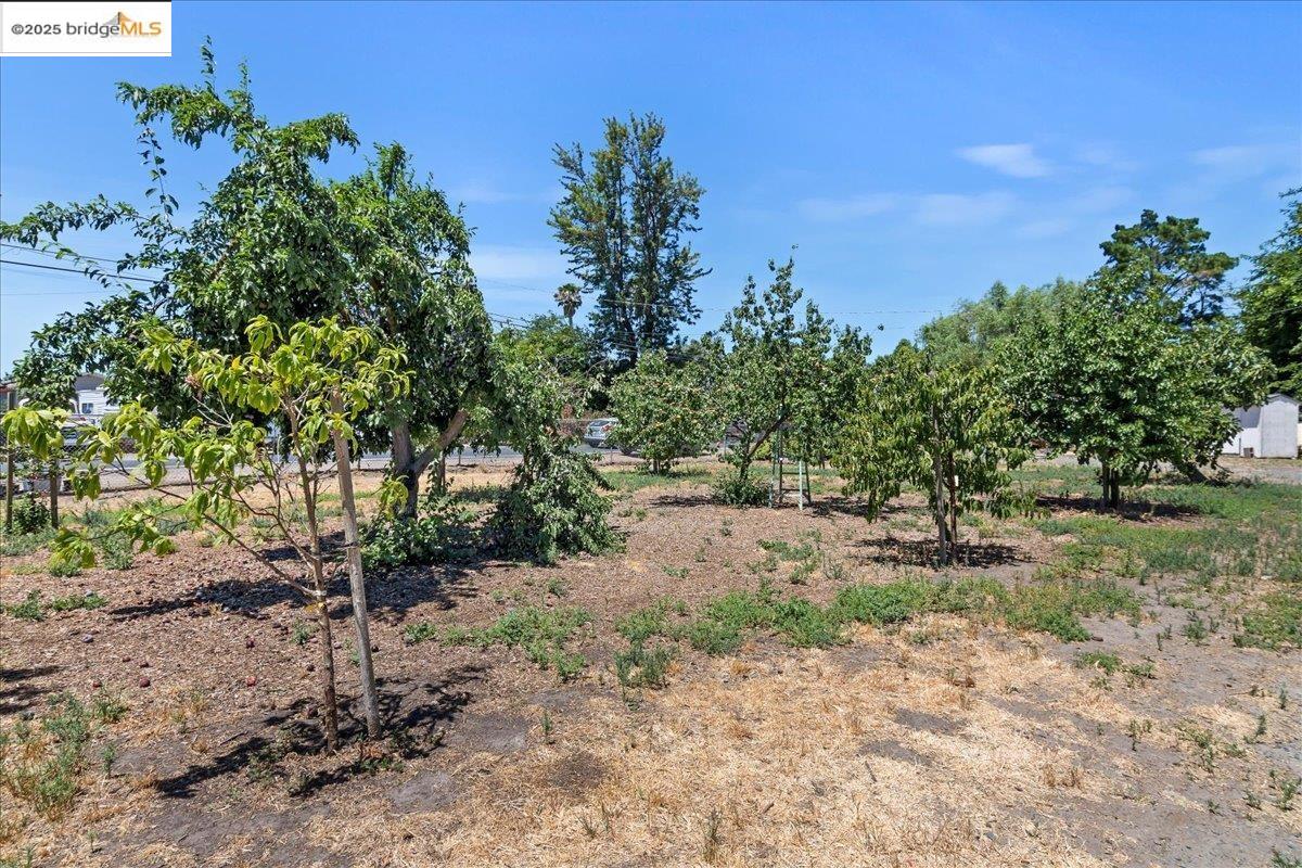 Detail Gallery Image 48 of 48 For 2325 Taylor Rd, Bethel Island,  CA 94511 - 3 Beds | 2 Baths