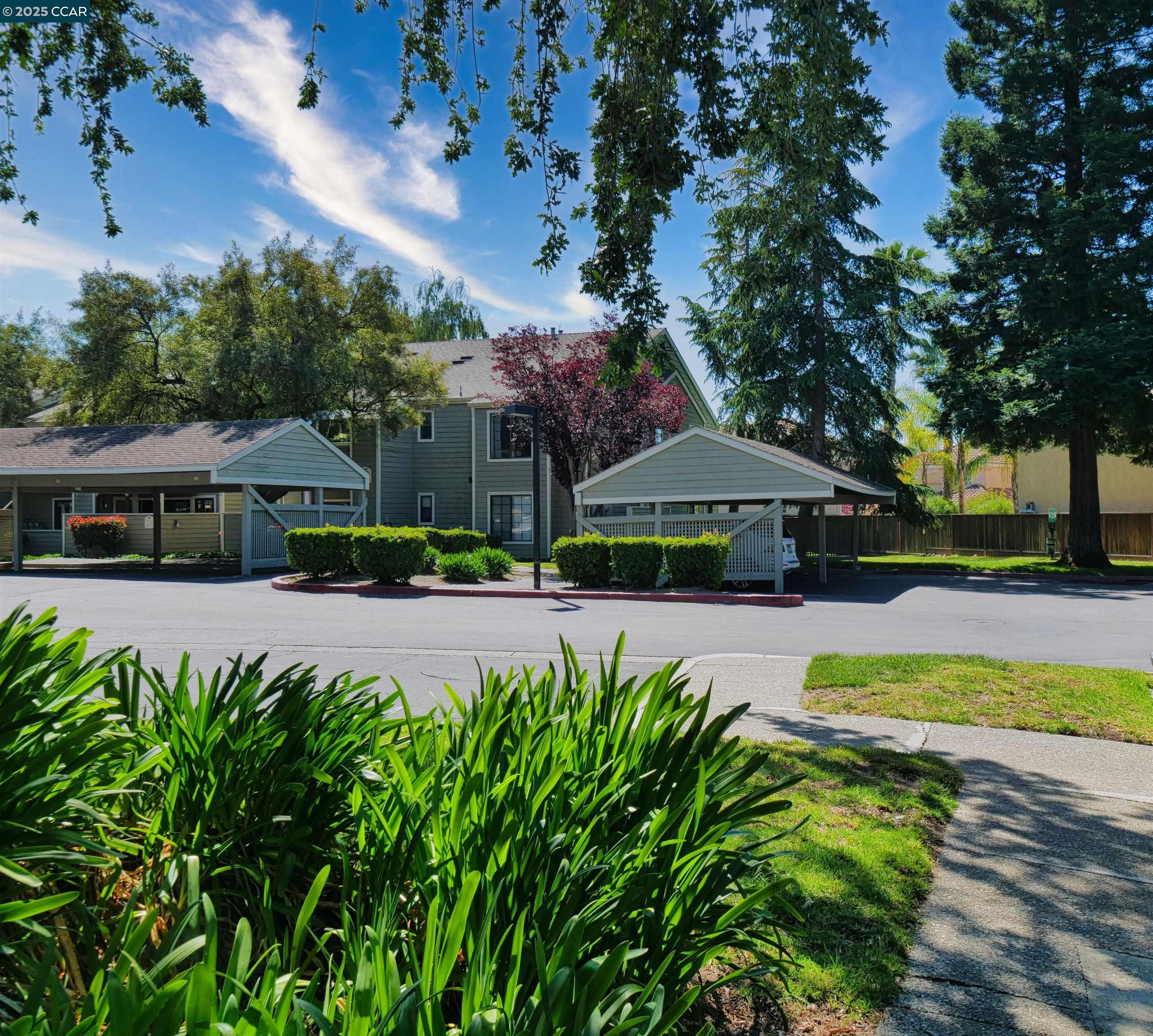 Photo #50: 41099341 Listing: Photo #50