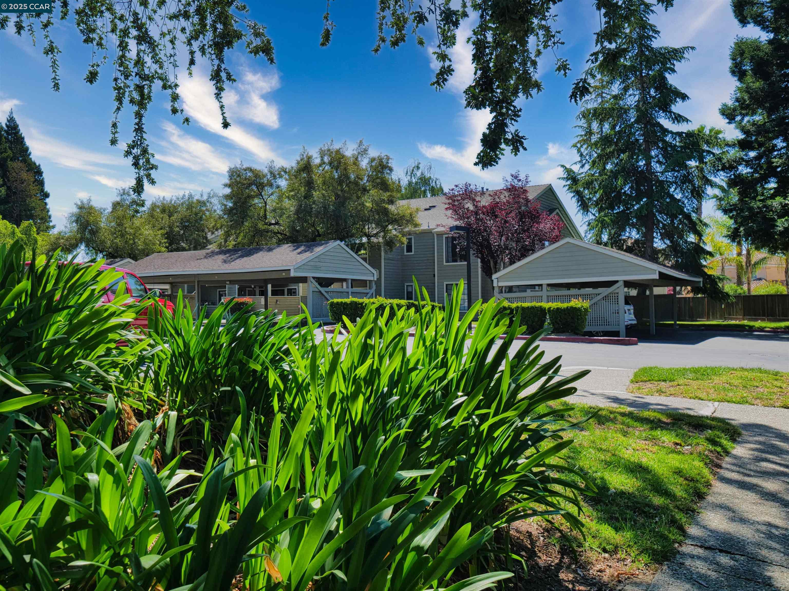 Photo #52: 41099341 Listing: Photo #52