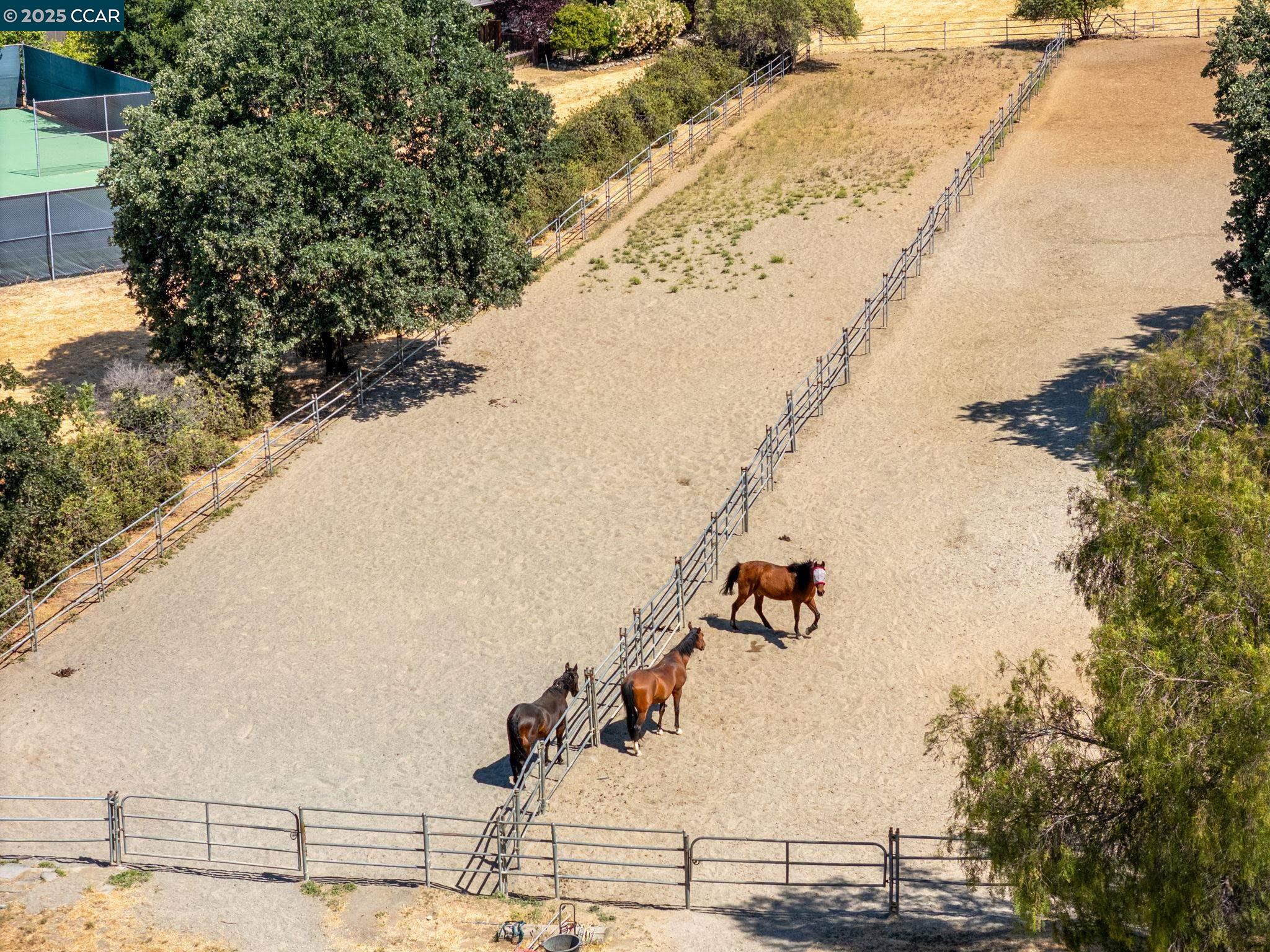 Detail Gallery Image 43 of 53 For 3165 Hambletonian Lane, Walnut Creek,  CA 94598 - 4 Beds | 2 Baths