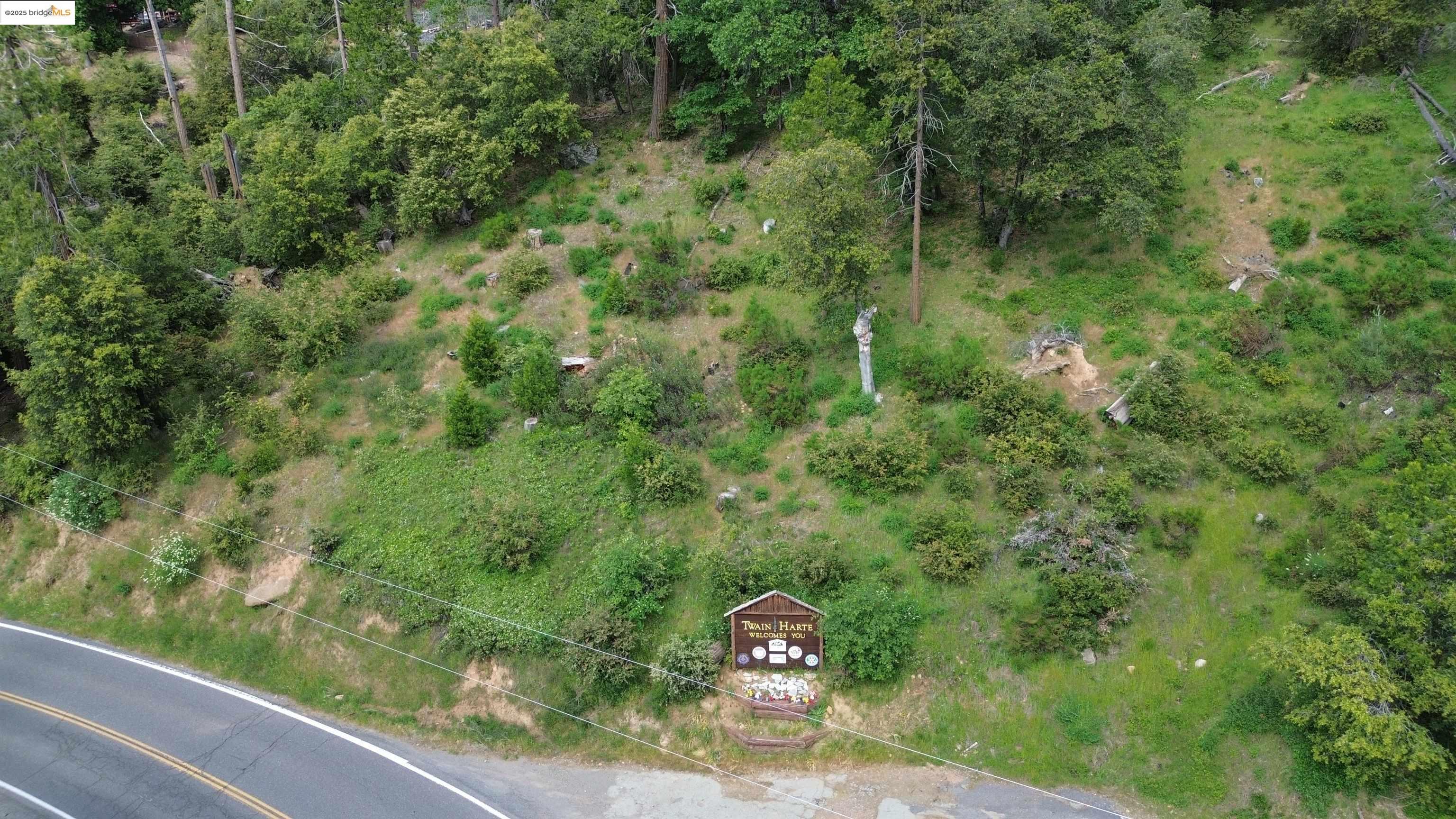 Detail Gallery Image 1 of 13 For 0000 Twain Harte Drive, Twain Harte,  CA 95383 - – Beds | – Baths