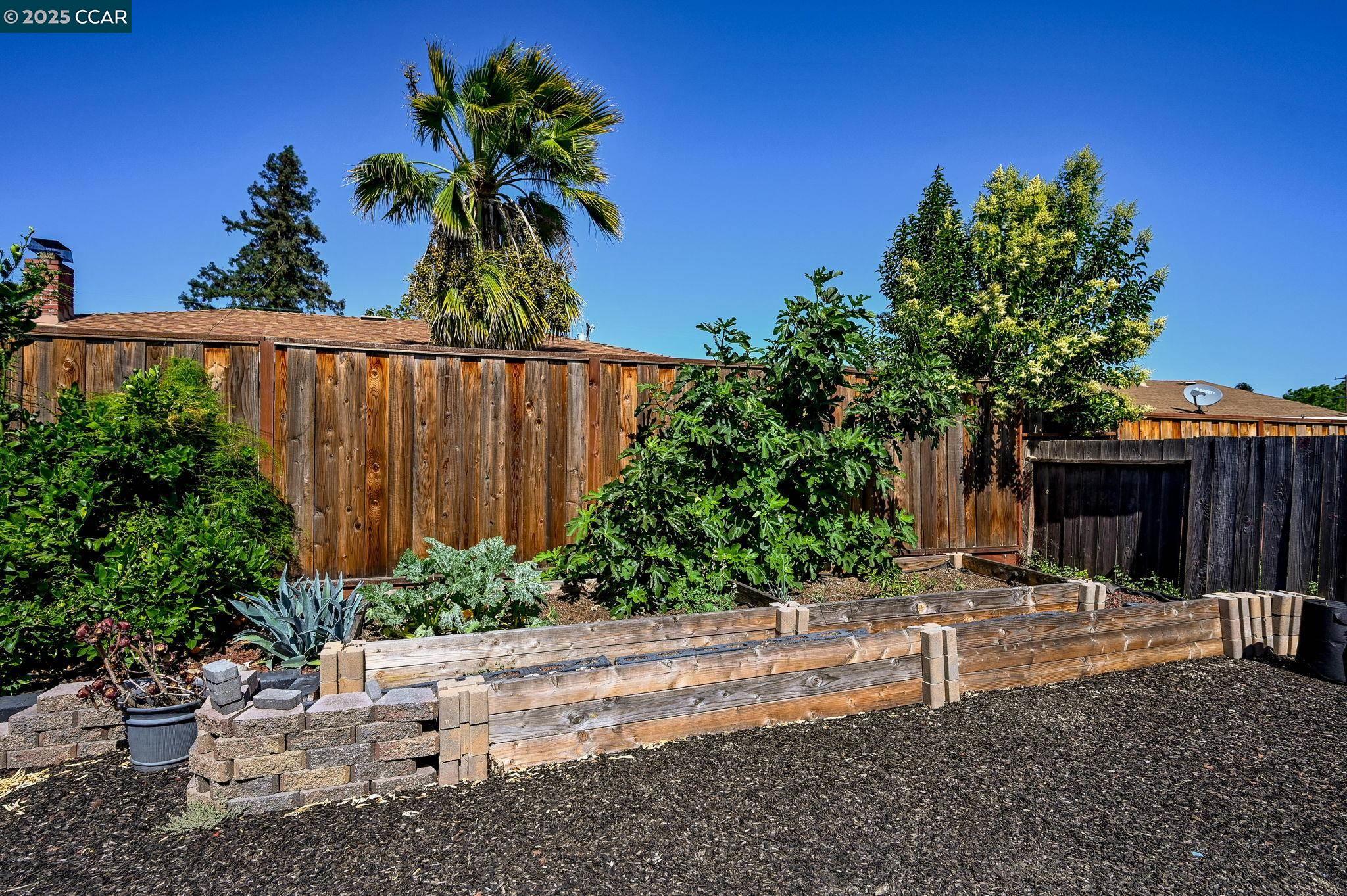 Detail Gallery Image 27 of 32 For 3189 Fitzpatrick Dr, Concord,  CA 94519 - 3 Beds | 2 Baths