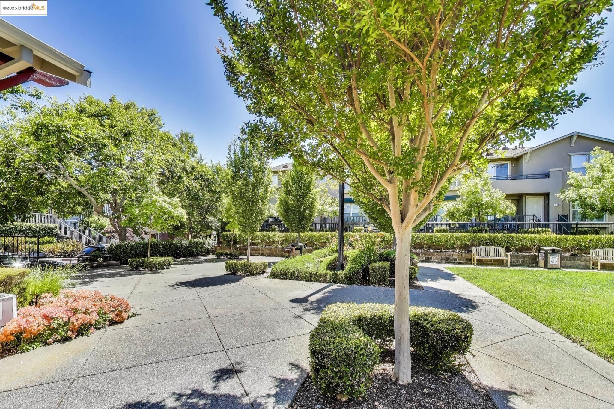 Photo #33: 41099488 Listing: Photo #33