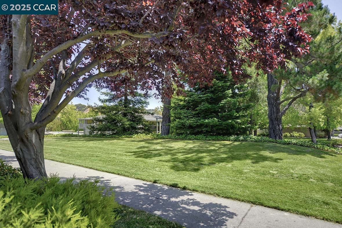Photo #2: 41099605 Listing 