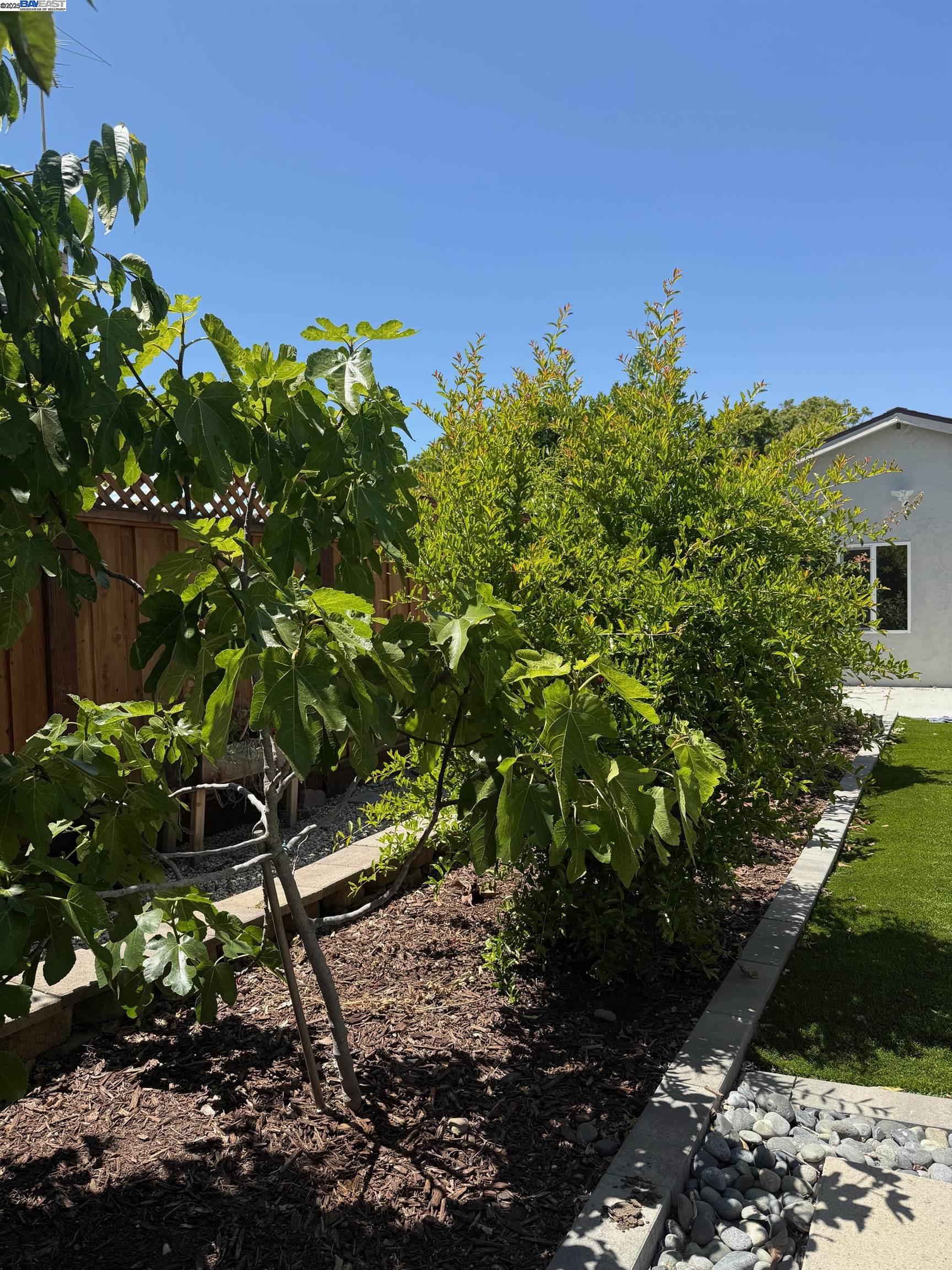 Detail Gallery Image 29 of 30 For 2652 Autumnvale Dr, San Jose,  CA 95132 - 3 Beds | 1/1 Baths