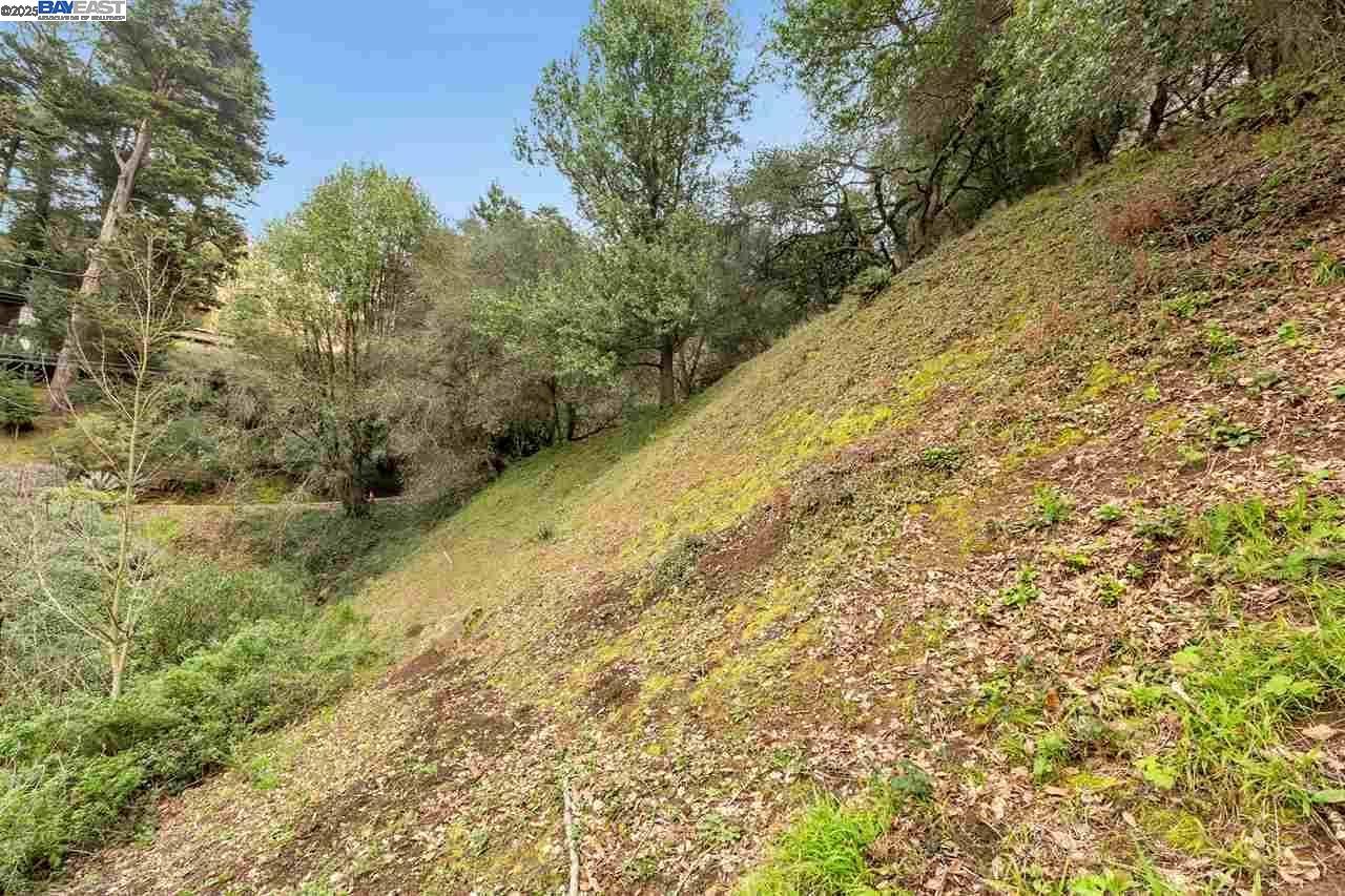 Detail Gallery Image 7 of 9 For 0 Elderberry Dr, Oakland,  CA 94661 - – Beds | – Baths