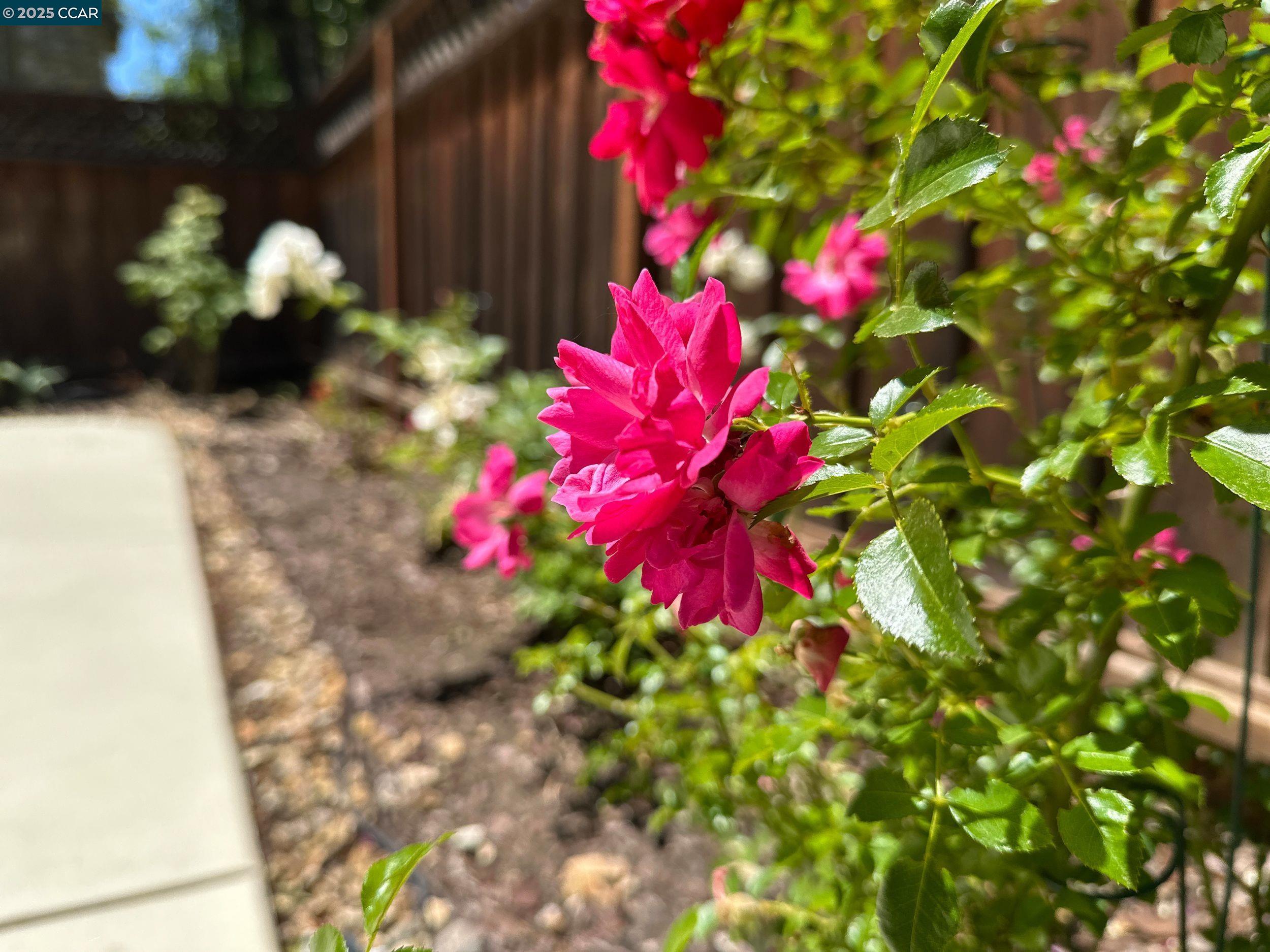 Detail Gallery Image 30 of 30 For 90 W Amistad Ln, Mountain House,  CA 95391 - 3 Beds | 2/1 Baths