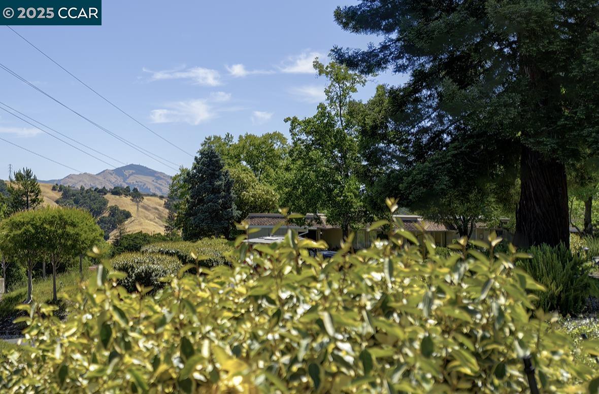 Detail Gallery Image 4 of 55 For 2101 Ptarmigan Dr #2,  Walnut Creek,  CA 94595-3507 - 3 Beds | 2 Baths