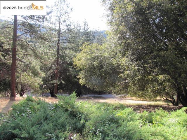 Detail Gallery Image 21 of 23 For 2364 Rainbow Rd., Mariposa,  CA 95338 - 3 Beds | 2 Baths