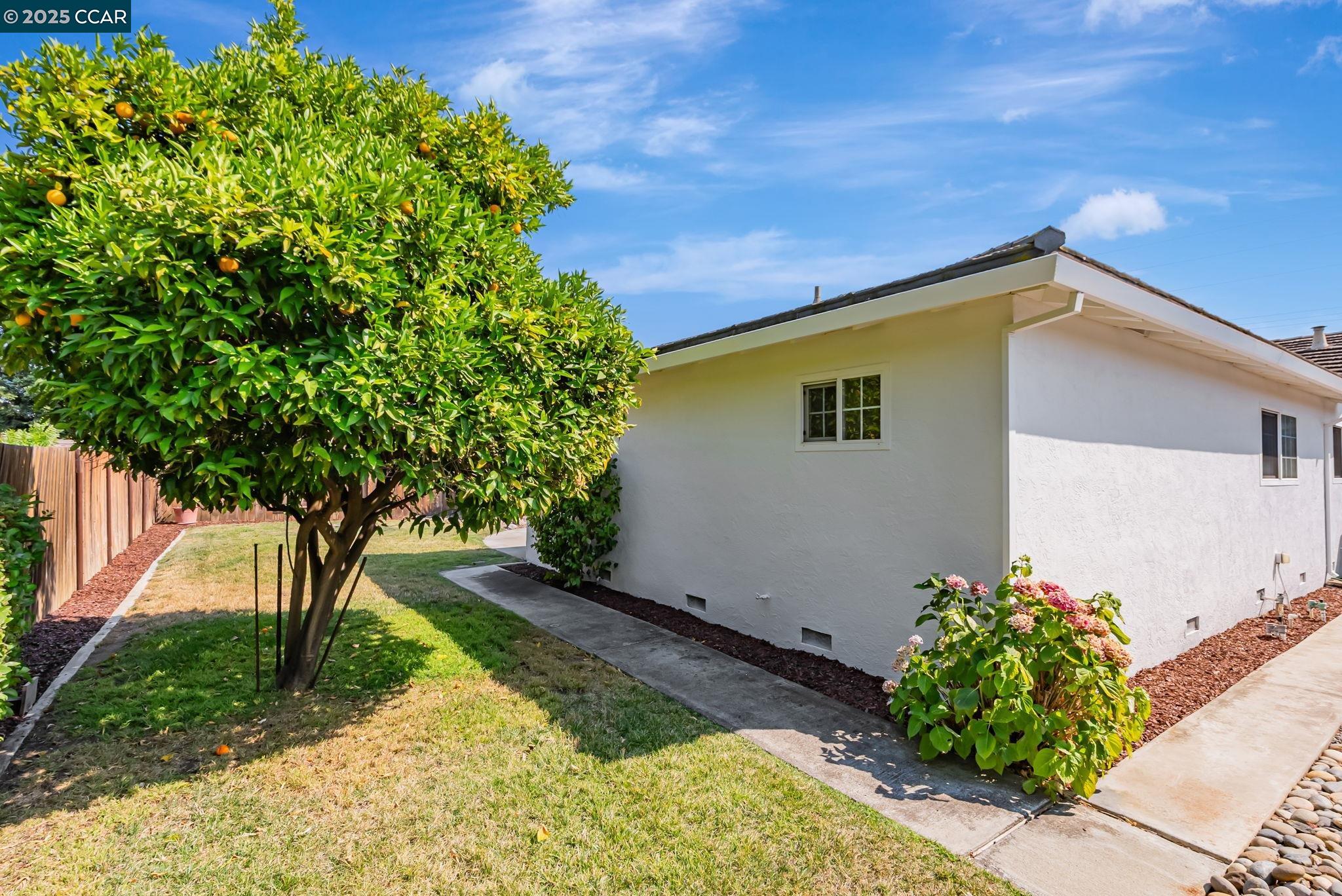 Detail Gallery Image 47 of 47 For 1836 Boxwood Dr, Concord,  CA 94519 - 4 Beds | 2 Baths