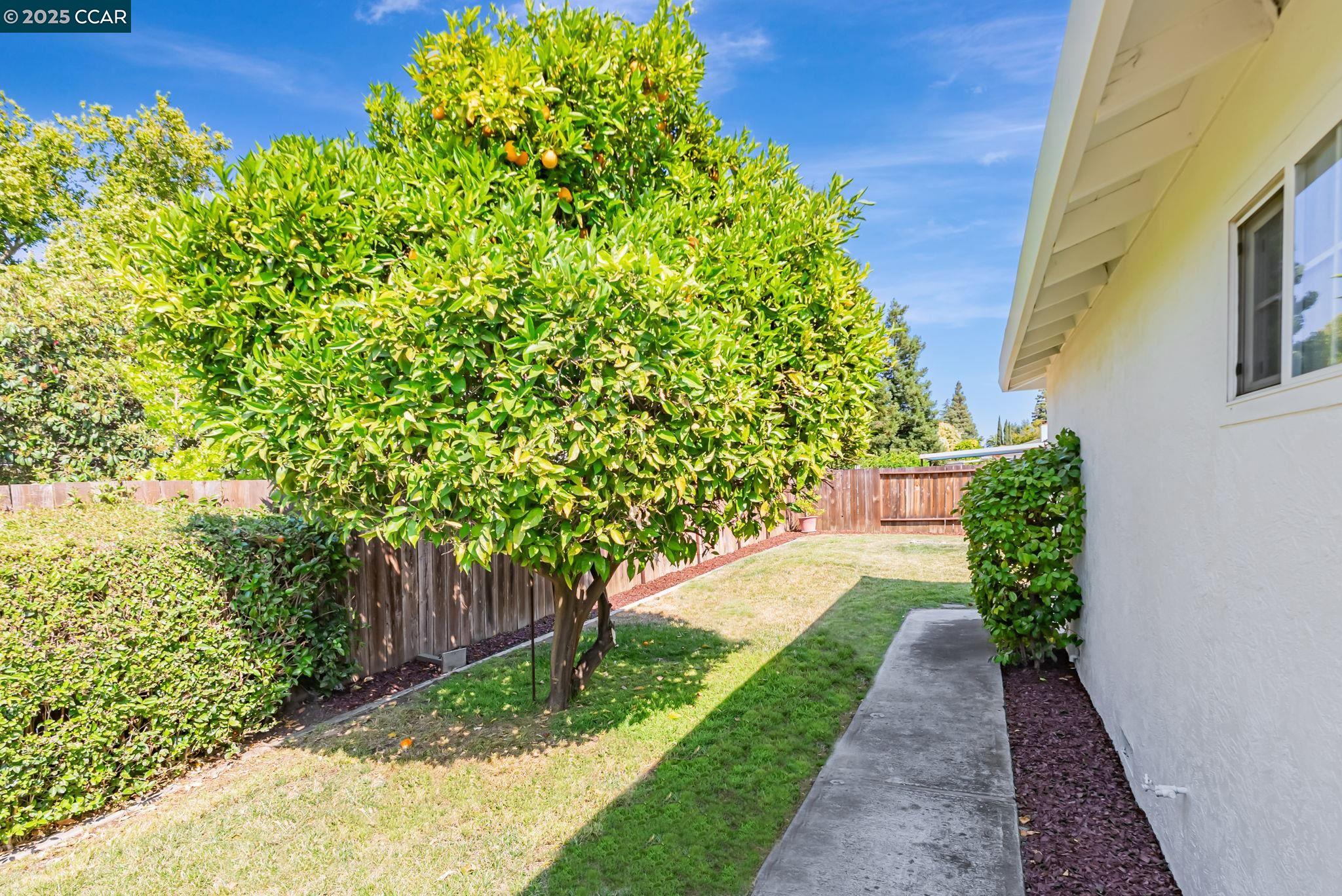 Detail Gallery Image 9 of 47 For 1836 Boxwood Dr, Concord,  CA 94519 - 4 Beds | 2 Baths