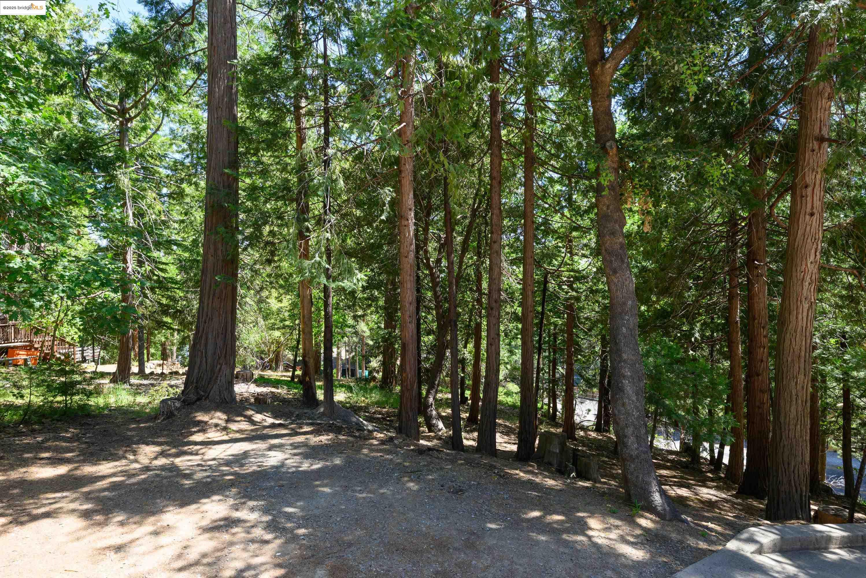 Detail Gallery Image 30 of 36 For 24051 Pine Lake Dr, Twain Harte,  CA 95383 - 3 Beds | 2/1 Baths