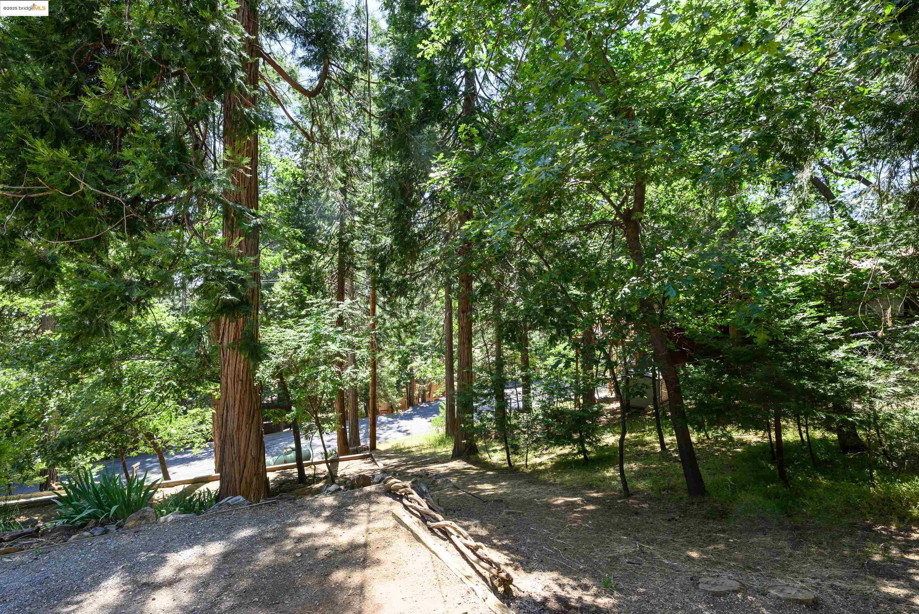 Detail Gallery Image 32 of 36 For 24051 Pine Lake Dr, Twain Harte,  CA 95383 - 3 Beds | 2/1 Baths
