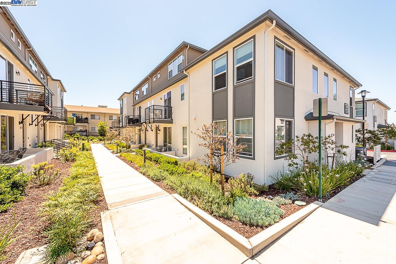 29709 Hansen St, Hayward, California 94544, 4 Bedrooms Bedrooms, 10 Rooms Rooms,3 BathroomsBathrooms,Residential,For Sale,29709 Hansen St,41100150