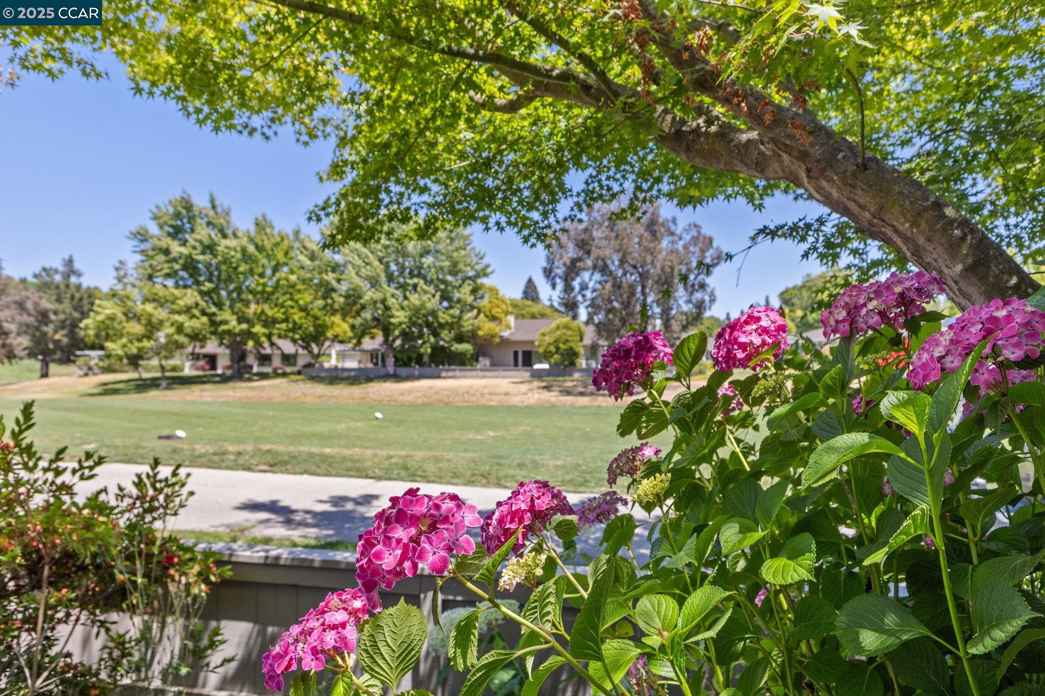 Photo #6: 41100153 Listing 