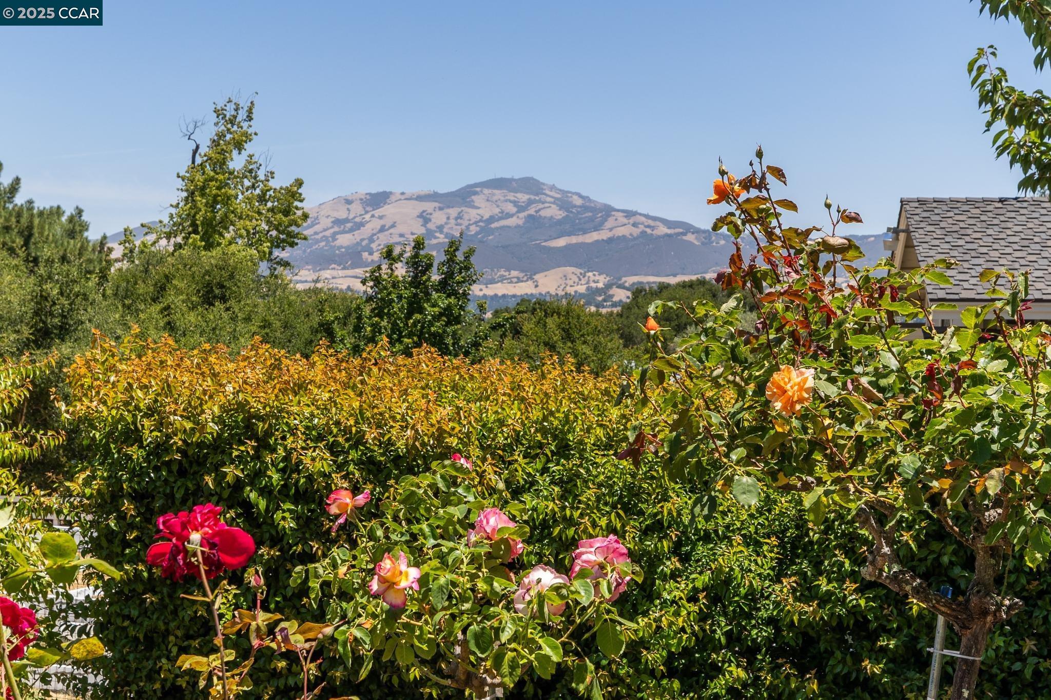 Detail Gallery Image 56 of 59 For 555 Highland Dr, Danville,  CA 94526 - 5 Beds | 3/1 Baths