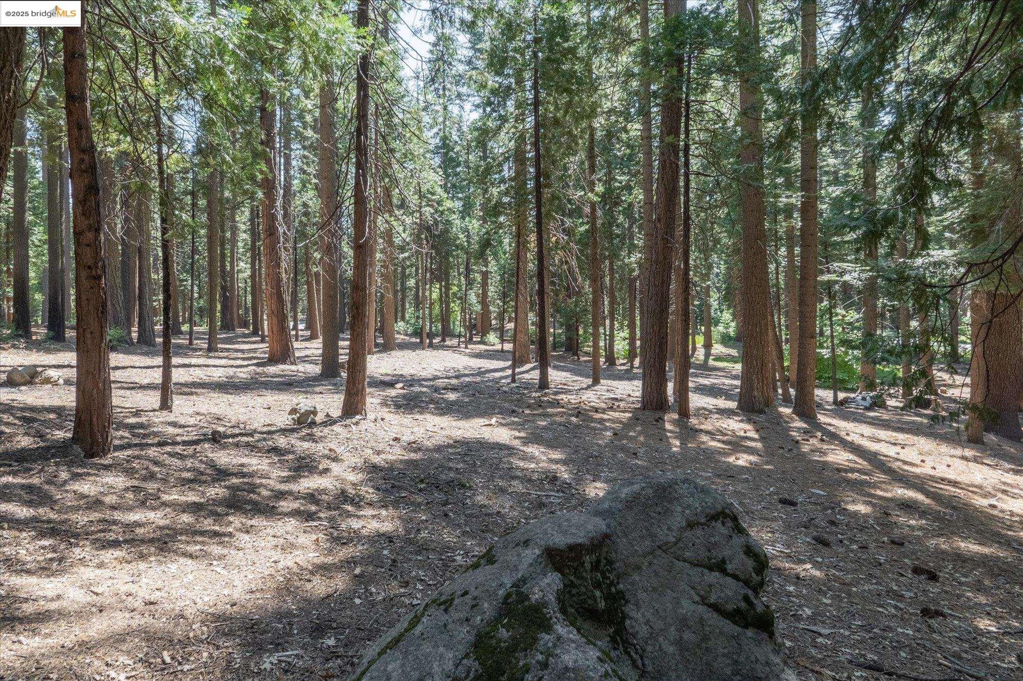 Detail Gallery Image 27 of 32 For 3397 Chumash, Camp Connell,  CA 95223 - 2 Beds | 3/1 Baths
