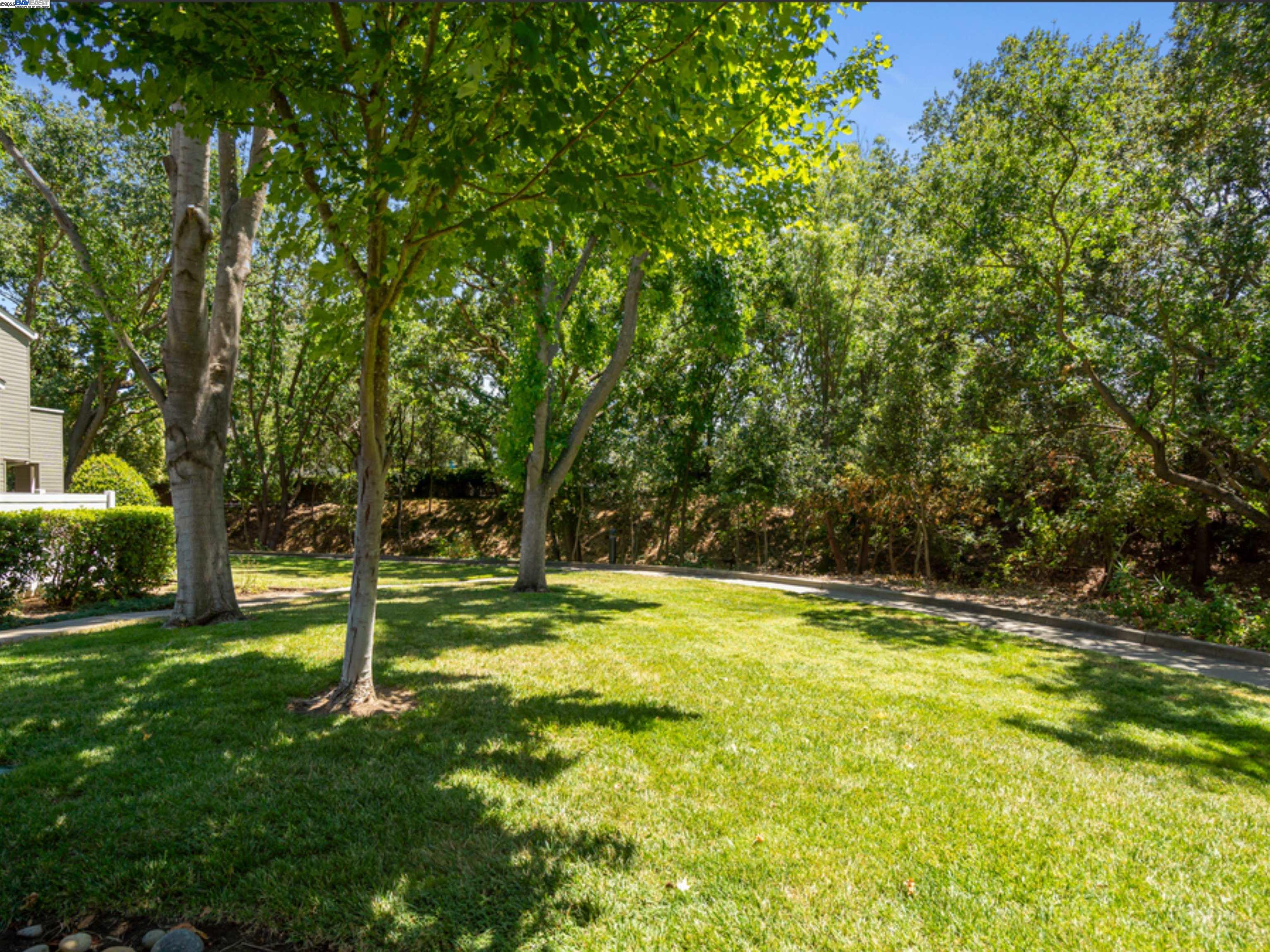 Photo #33: 41100498 Listing: Photo #33