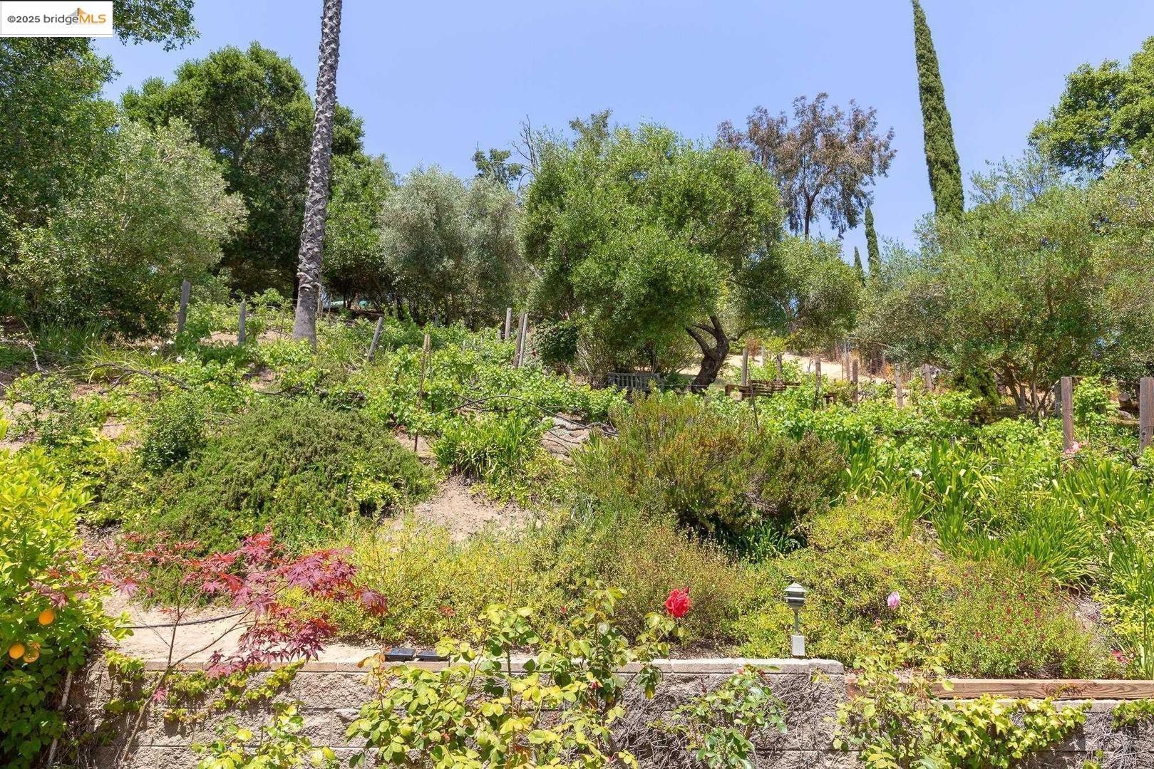 Detail Gallery Image 34 of 52 For 151 La Espiral, Orinda,  CA 94563 - 4 Beds | 2 Baths