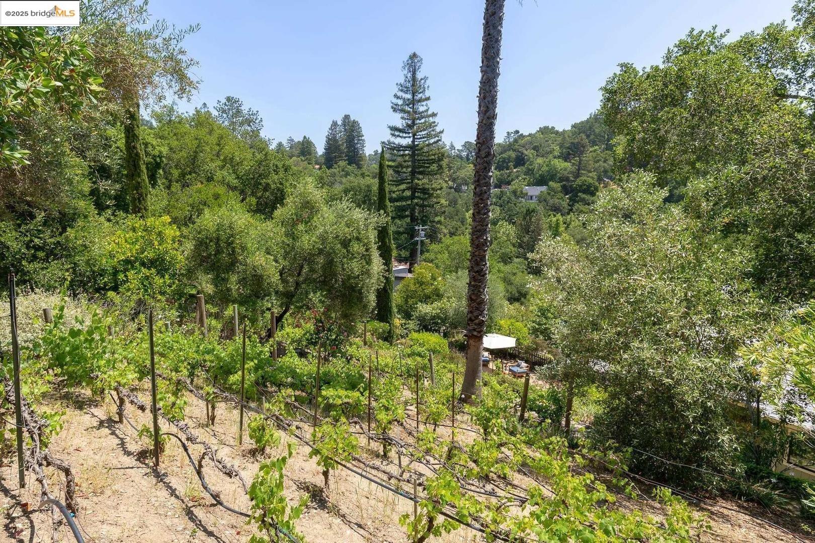 Detail Gallery Image 42 of 52 For 151 La Espiral, Orinda,  CA 94563 - 4 Beds | 2 Baths