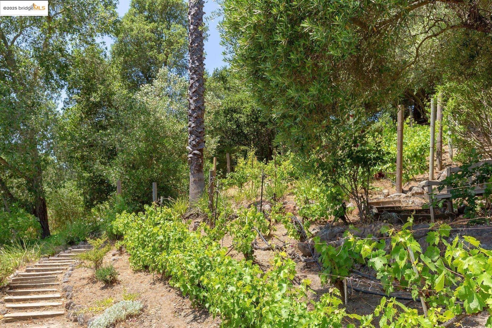 Detail Gallery Image 45 of 52 For 151 La Espiral, Orinda,  CA 94563 - 4 Beds | 2 Baths