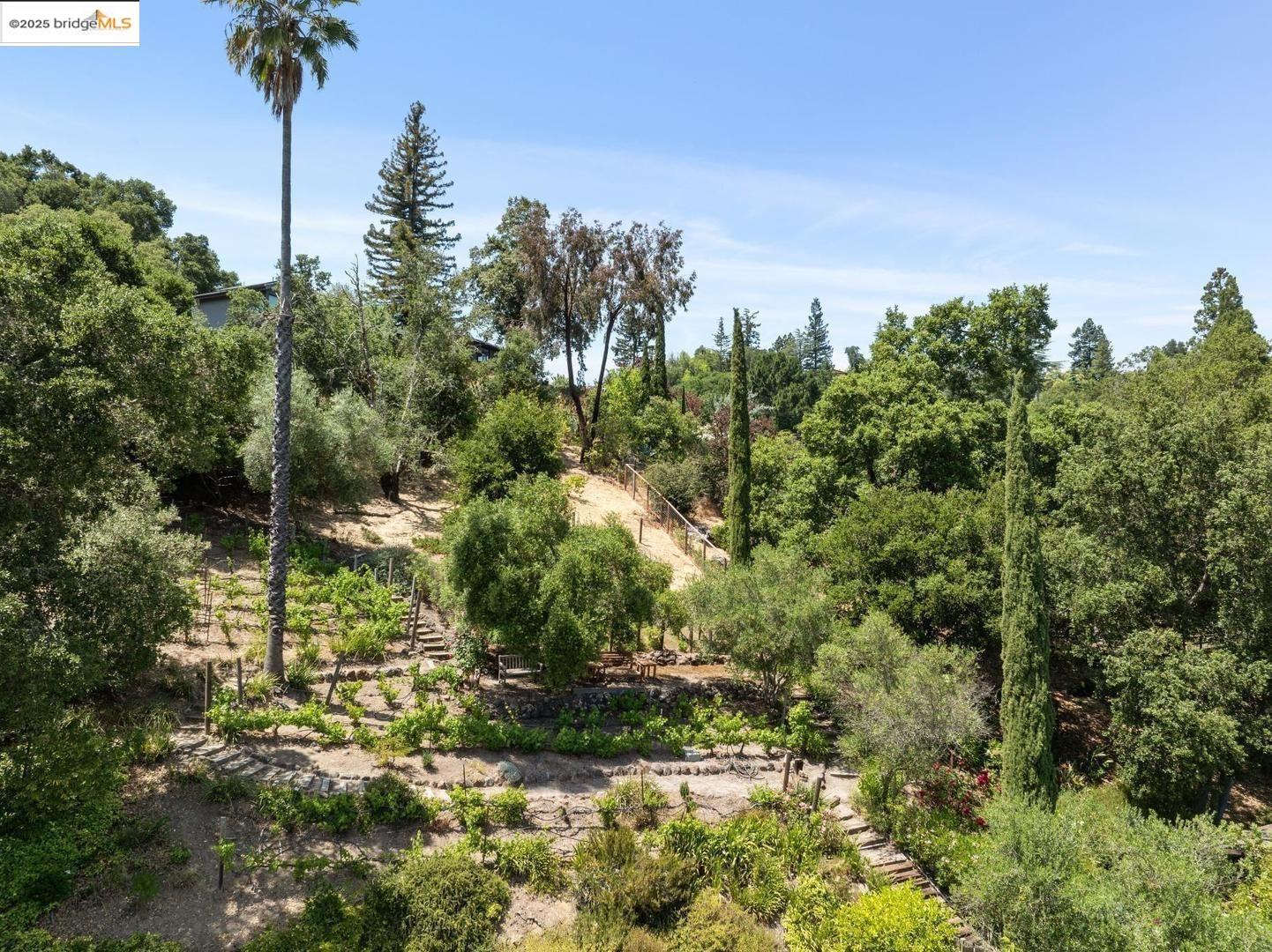 Detail Gallery Image 46 of 52 For 151 La Espiral, Orinda,  CA 94563 - 4 Beds | 2 Baths