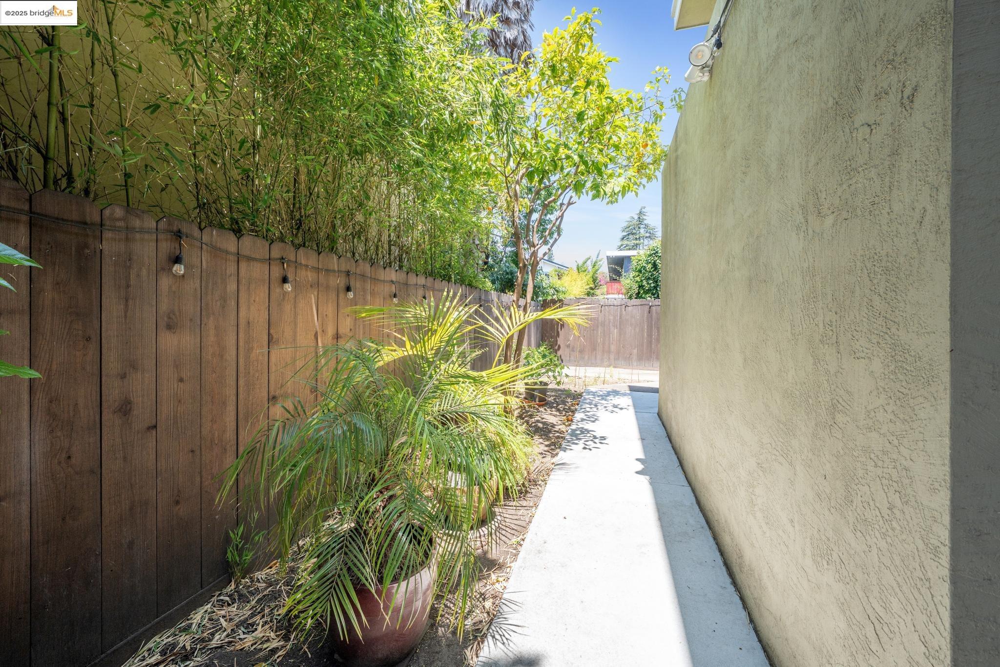 Photo #38: 41100521 Listing: Photo #38