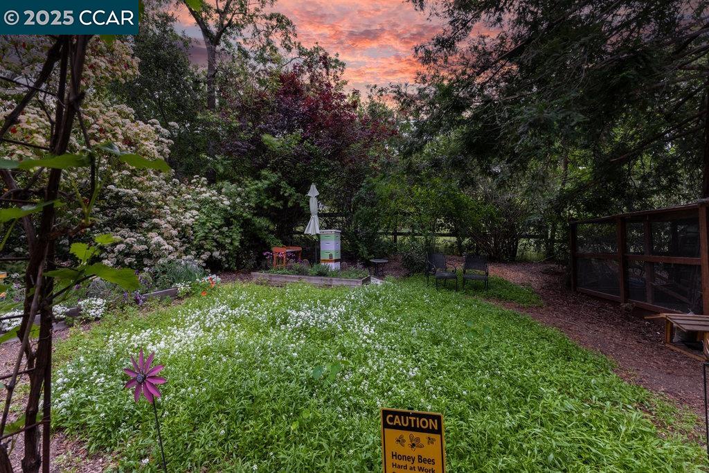 Detail Gallery Image 11 of 44 For 2284 Alameda Diablo, Diablo,  CA 94528 - 4 Beds | 2/1 Baths