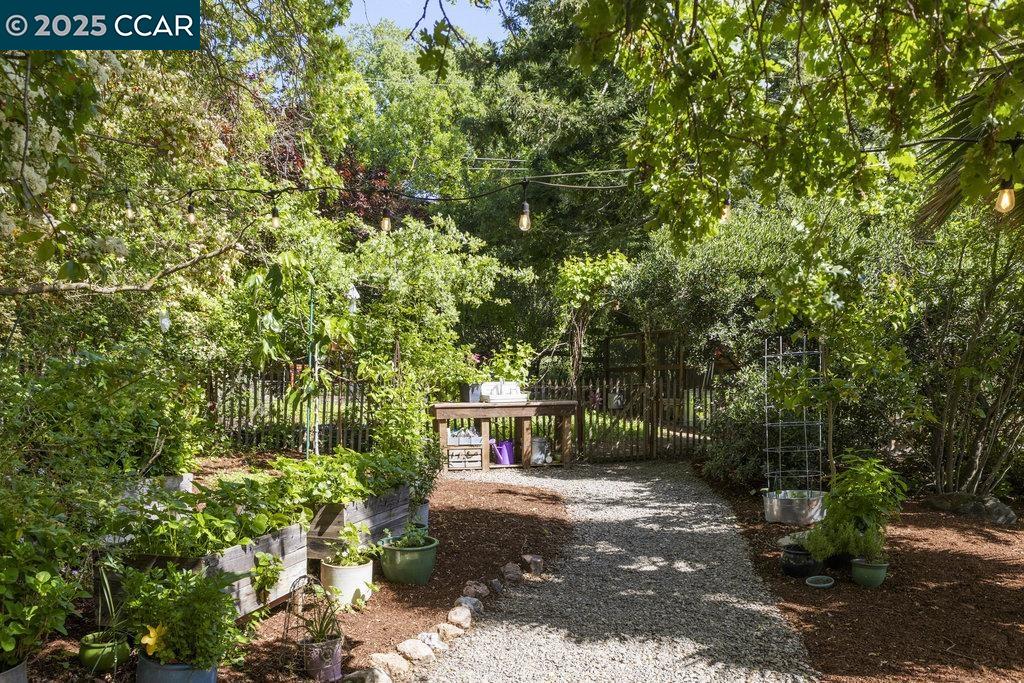 Detail Gallery Image 38 of 44 For 2284 Alameda Diablo, Diablo,  CA 94528 - 4 Beds | 2/1 Baths