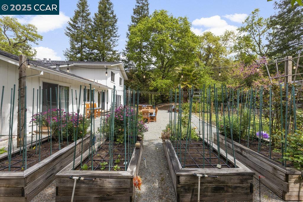 Detail Gallery Image 39 of 44 For 2284 Alameda Diablo, Diablo,  CA 94528 - 4 Beds | 2/1 Baths