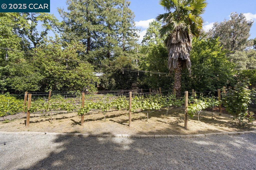 Detail Gallery Image 40 of 44 For 2284 Alameda Diablo, Diablo,  CA 94528 - 4 Beds | 2/1 Baths