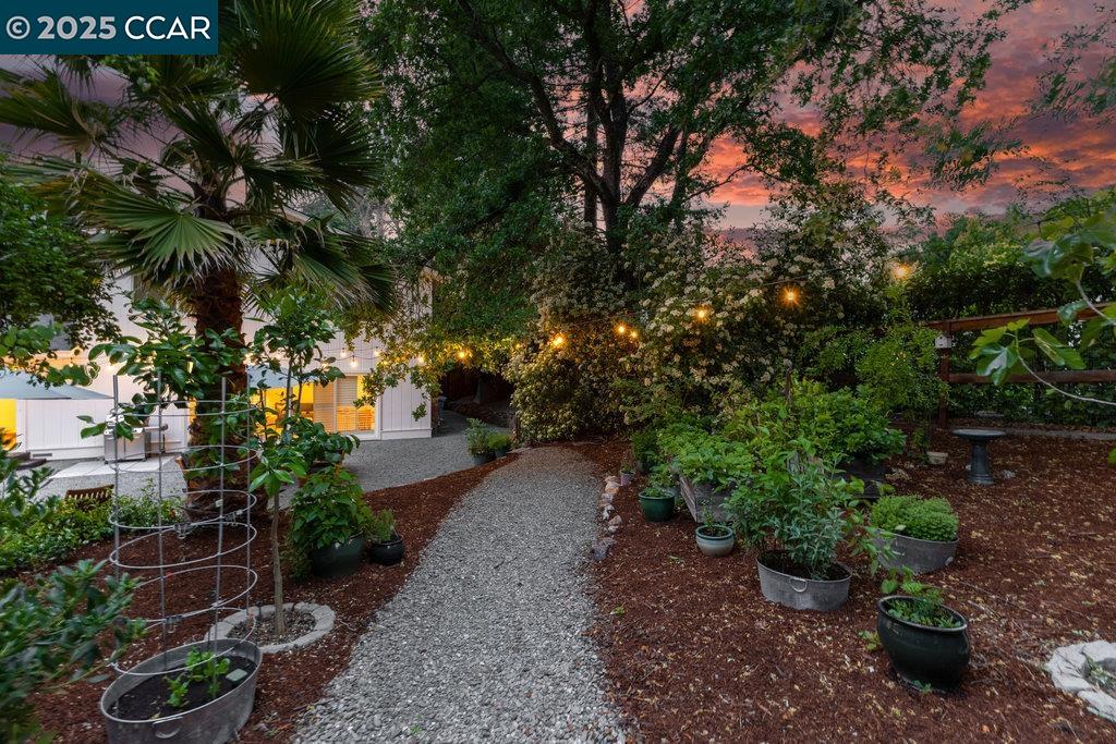 Detail Gallery Image 7 of 44 For 2284 Alameda Diablo, Diablo,  CA 94528 - 4 Beds | 2/1 Baths