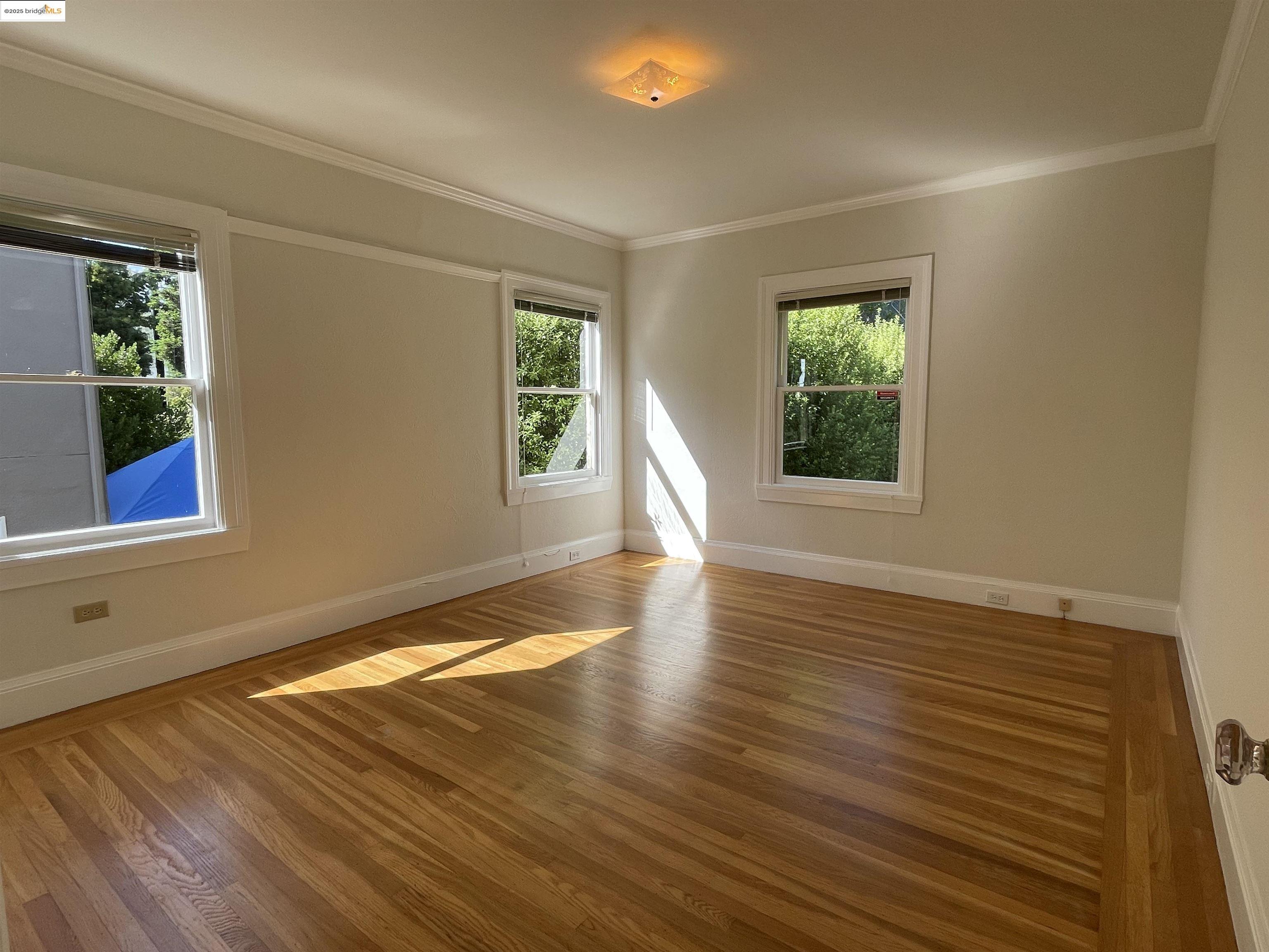1159 Winsor, Piedmont, California 94610, 5 Bedrooms Bedrooms, 12 Rooms Rooms,2 BathroomsBathrooms,Residential Lease,For Rent,1159 Winsor,41100693