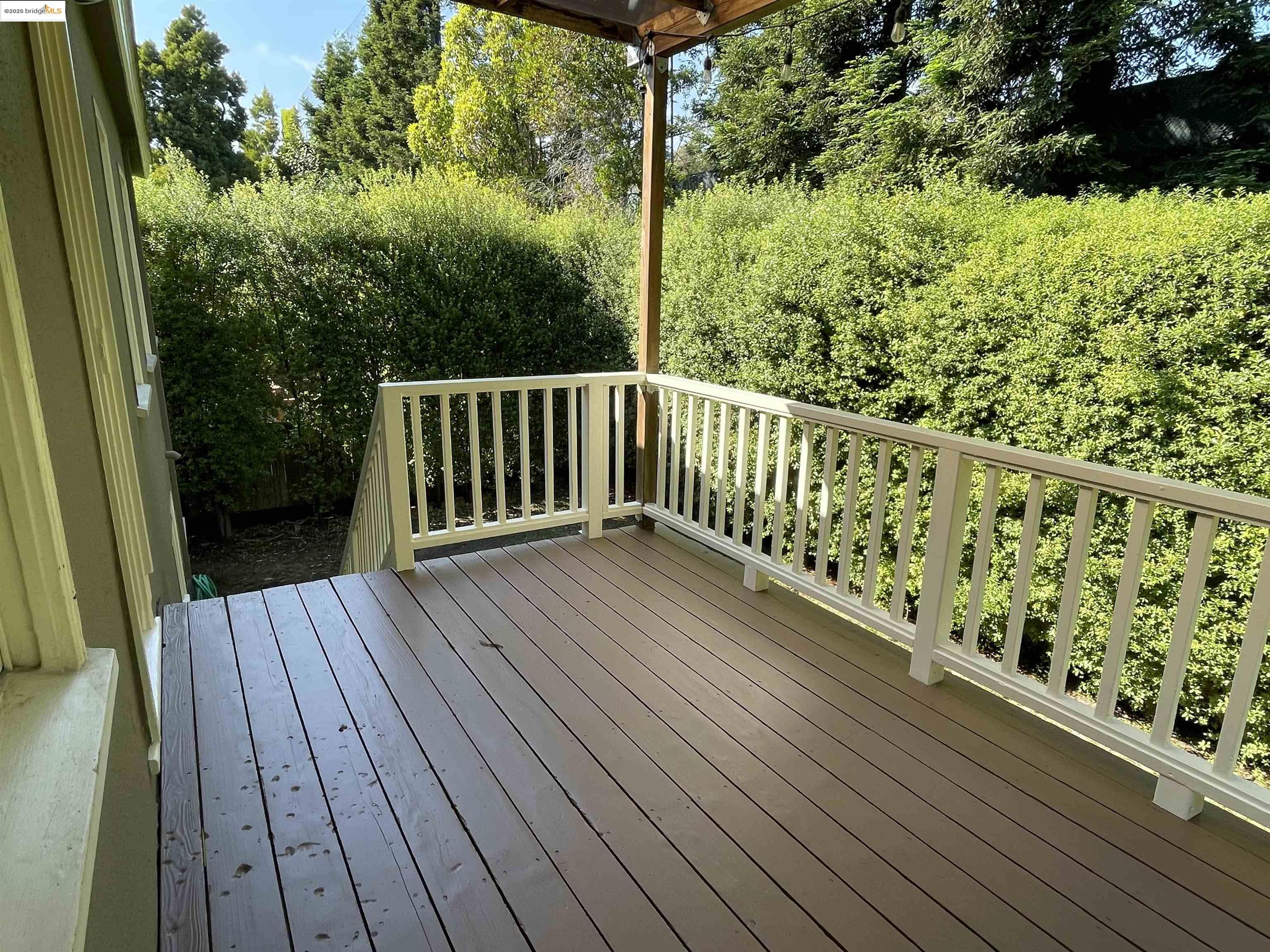 1159 Winsor, Piedmont, California 94610, 5 Bedrooms Bedrooms, 12 Rooms Rooms,2 BathroomsBathrooms,Residential Lease,For Rent,1159 Winsor,41100693