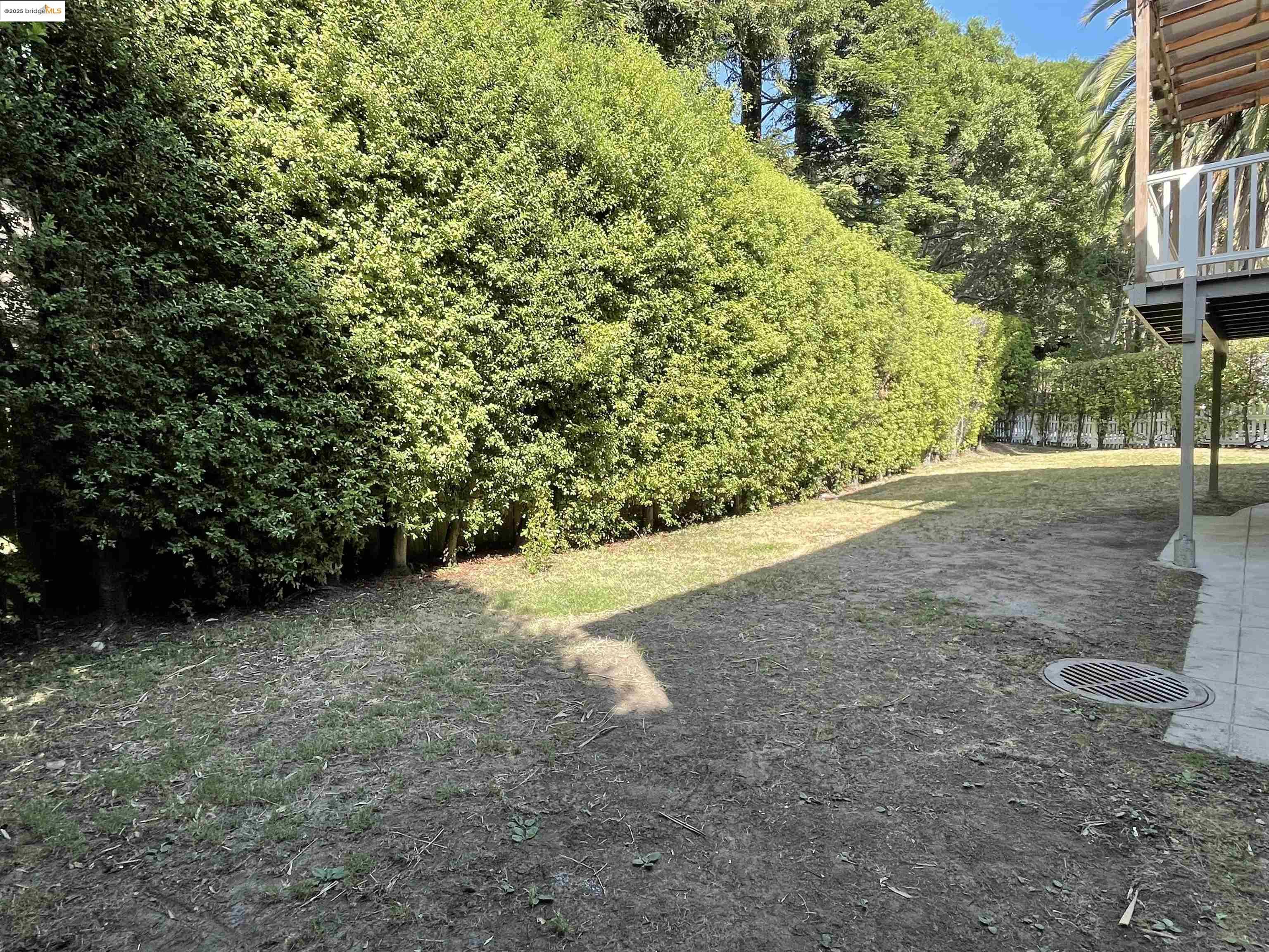 1159 Winsor, Piedmont, California 94610, 5 Bedrooms Bedrooms, 12 Rooms Rooms,2 BathroomsBathrooms,Residential Lease,For Rent,1159 Winsor,41100693