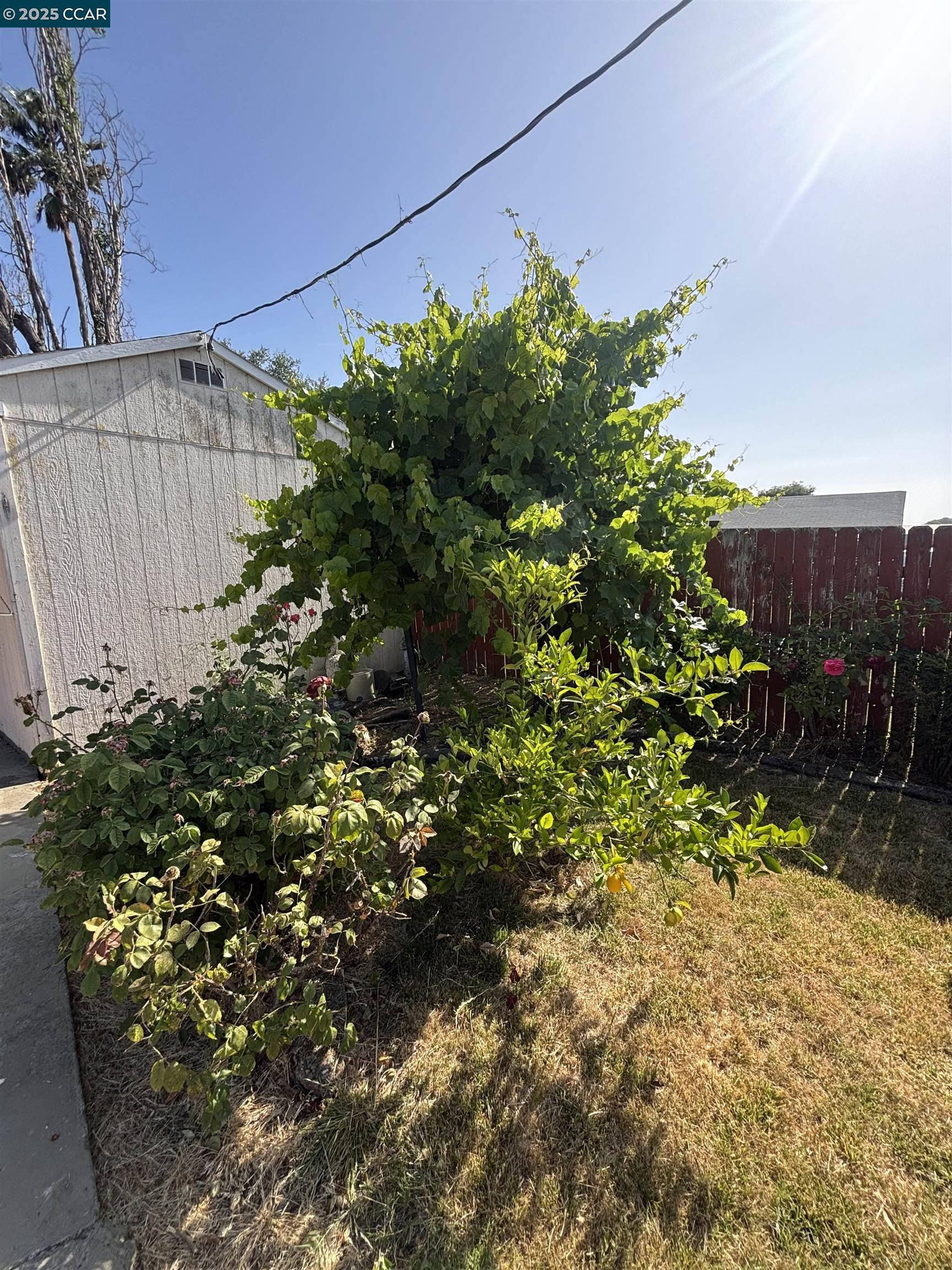 Detail Gallery Image 38 of 56 For 2765 Tuolumne Street, Vallejo,  CA 94589 - 4 Beds | 2 Baths