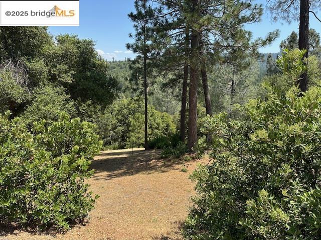 Detail Gallery Image 1 of 10 For Hillhurst Circle, Groveland,  CA 95321 - – Beds | – Baths