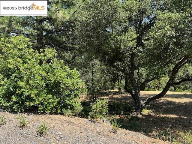 Detail Gallery Image 3 of 10 For Hillhurst Circle, Groveland,  CA 95321 - – Beds | – Baths