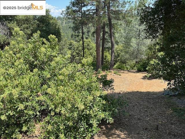 Detail Gallery Image 4 of 10 For Hillhurst Circle, Groveland,  CA 95321 - – Beds | – Baths