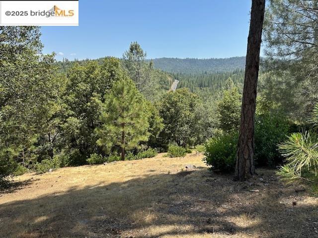 Detail Gallery Image 8 of 10 For Hillhurst Circle, Groveland,  CA 95321 - – Beds | – Baths
