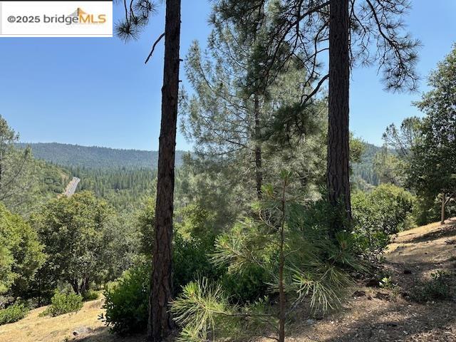 Detail Gallery Image 9 of 10 For Hillhurst Circle, Groveland,  CA 95321 - – Beds | – Baths