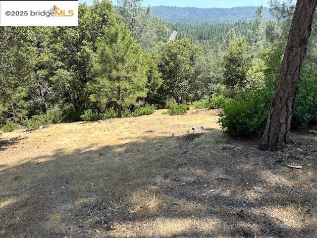 Detail Gallery Image 10 of 10 For Hillhurst Circle, Groveland,  CA 95321 - – Beds | – Baths