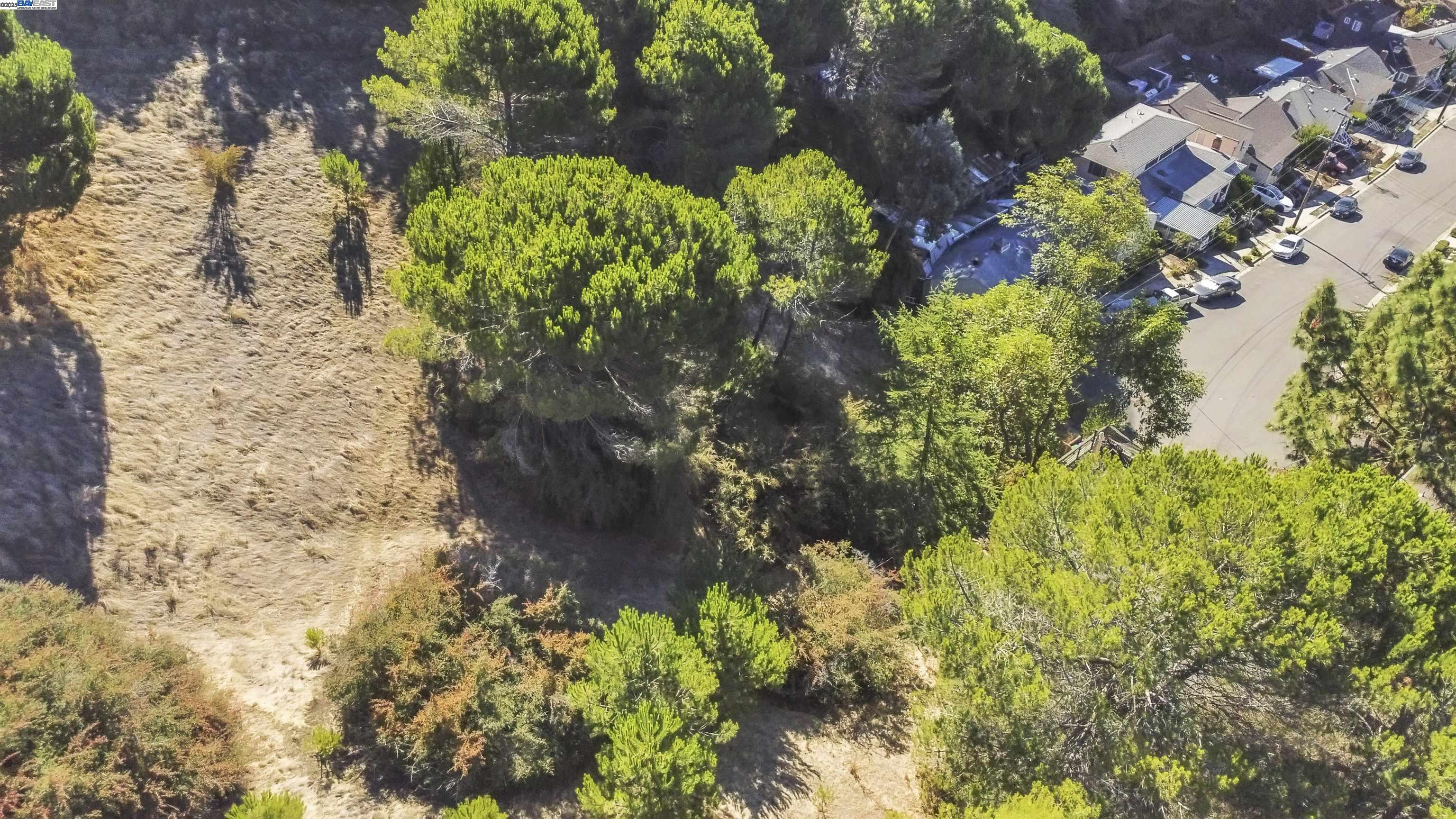 Detail Gallery Image 4 of 4 For 2250 Strang Ave, San Lorenzo,  CA 94580 - – Beds | – Baths