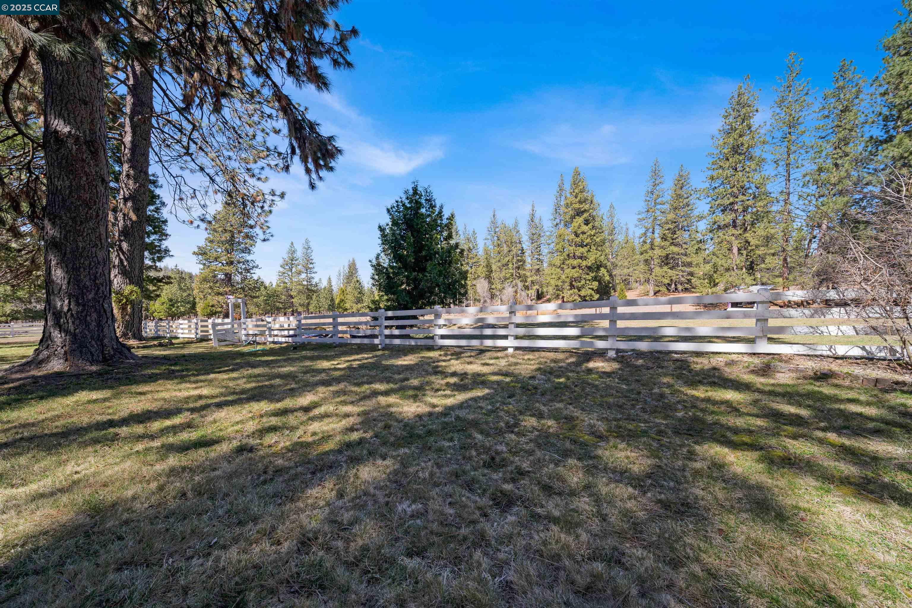 Detail Gallery Image 53 of 60 For 1324 Alves Dr, Weed,  CA 96094 - 4 Beds | 3 Baths